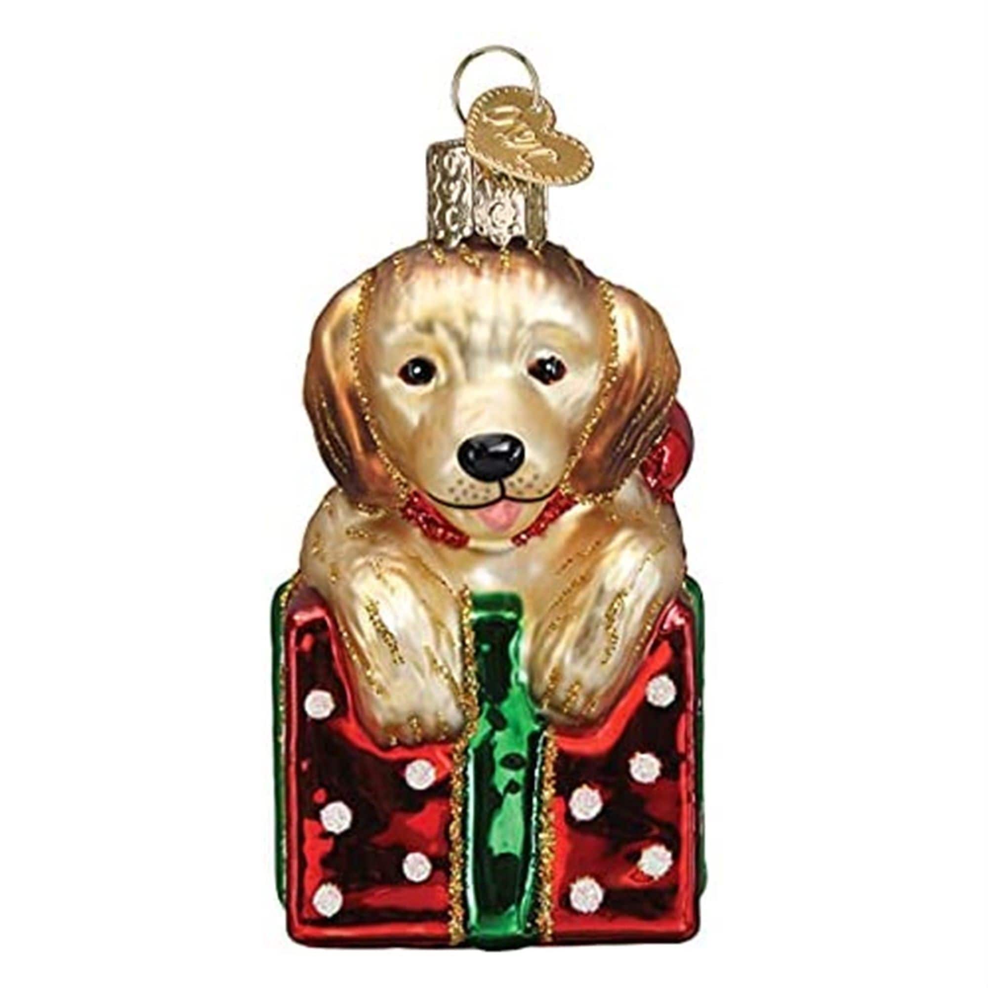 Old World Christmas 729343126283 Blown Glass Ornament for Christmas Tree - Golden Puppy Surprise