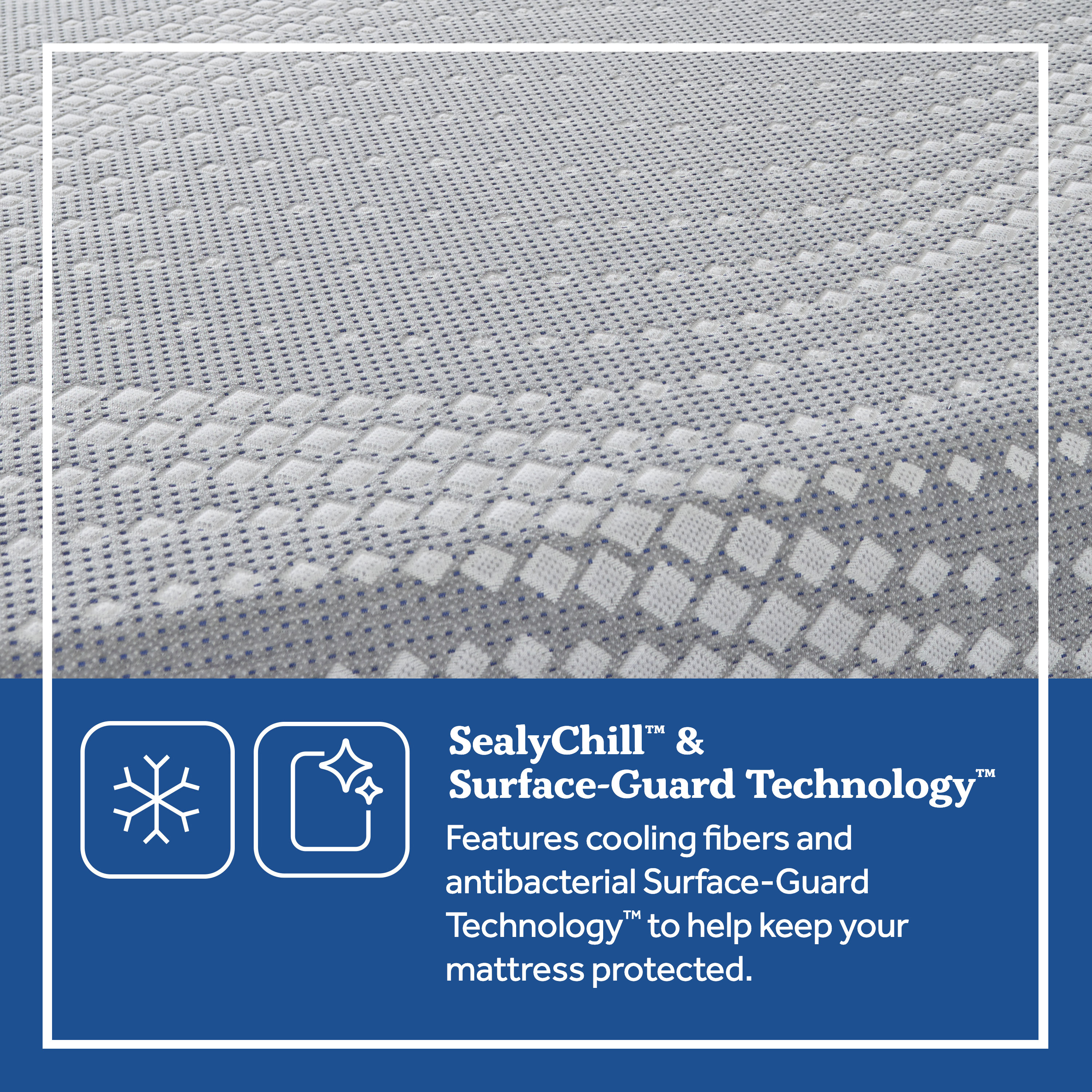 Sealy 52779632 Mattresses-Boxsprings - View #8