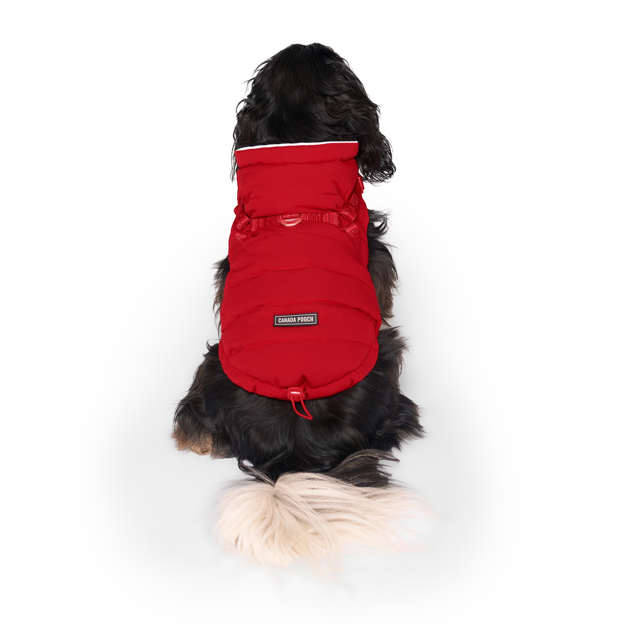 Canada Pooch 12479  - View #2