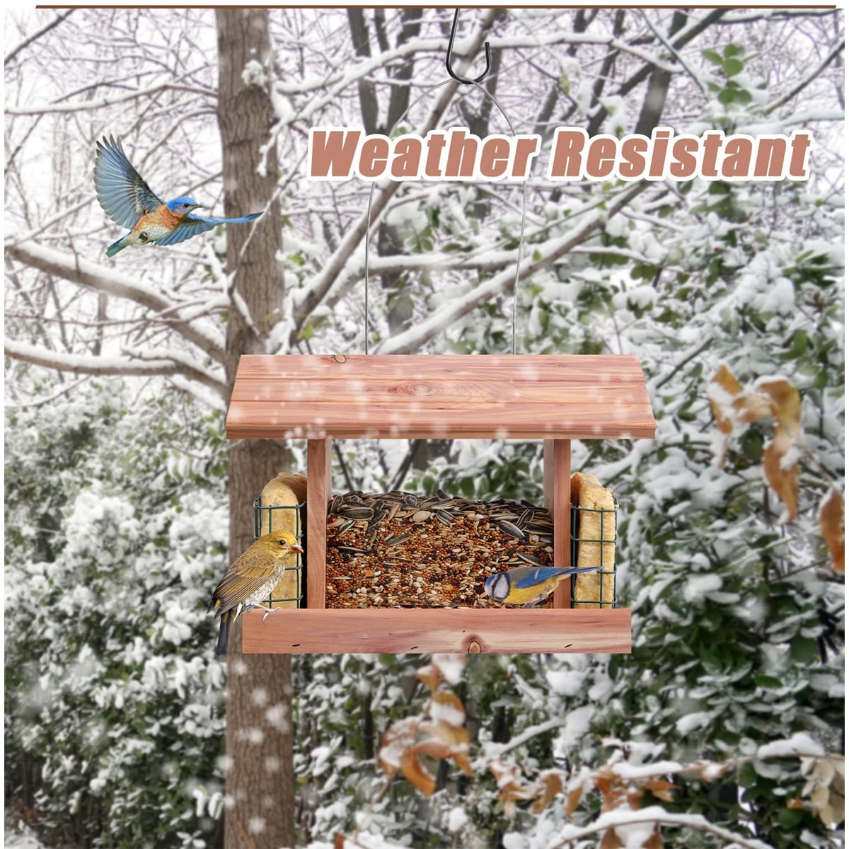 Worth Garden 8534 Bird-Feeders - View #4