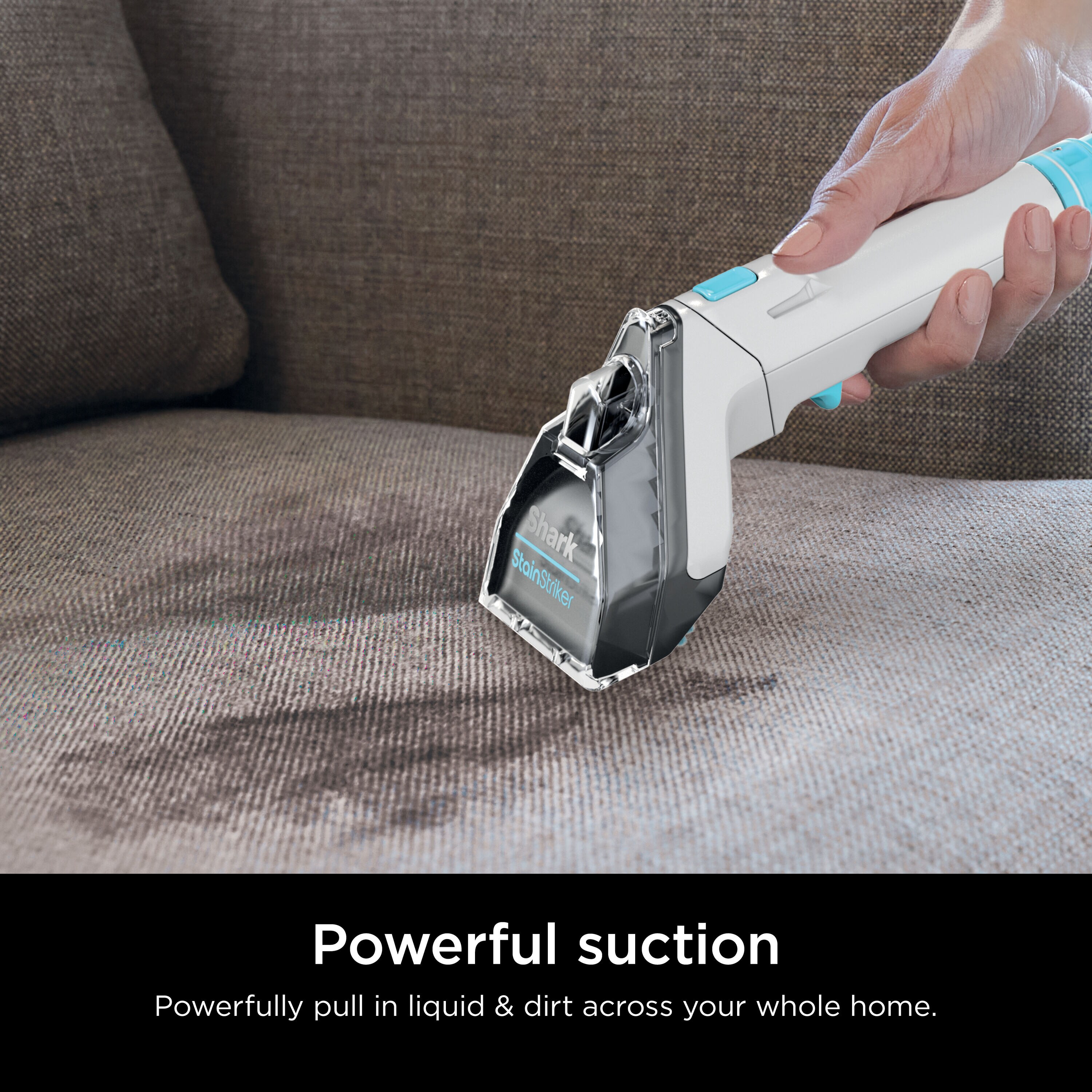 Shark Shark Stain Striker 2in1 Spot Cleaner PX201 in the Carpet Cleaners department at