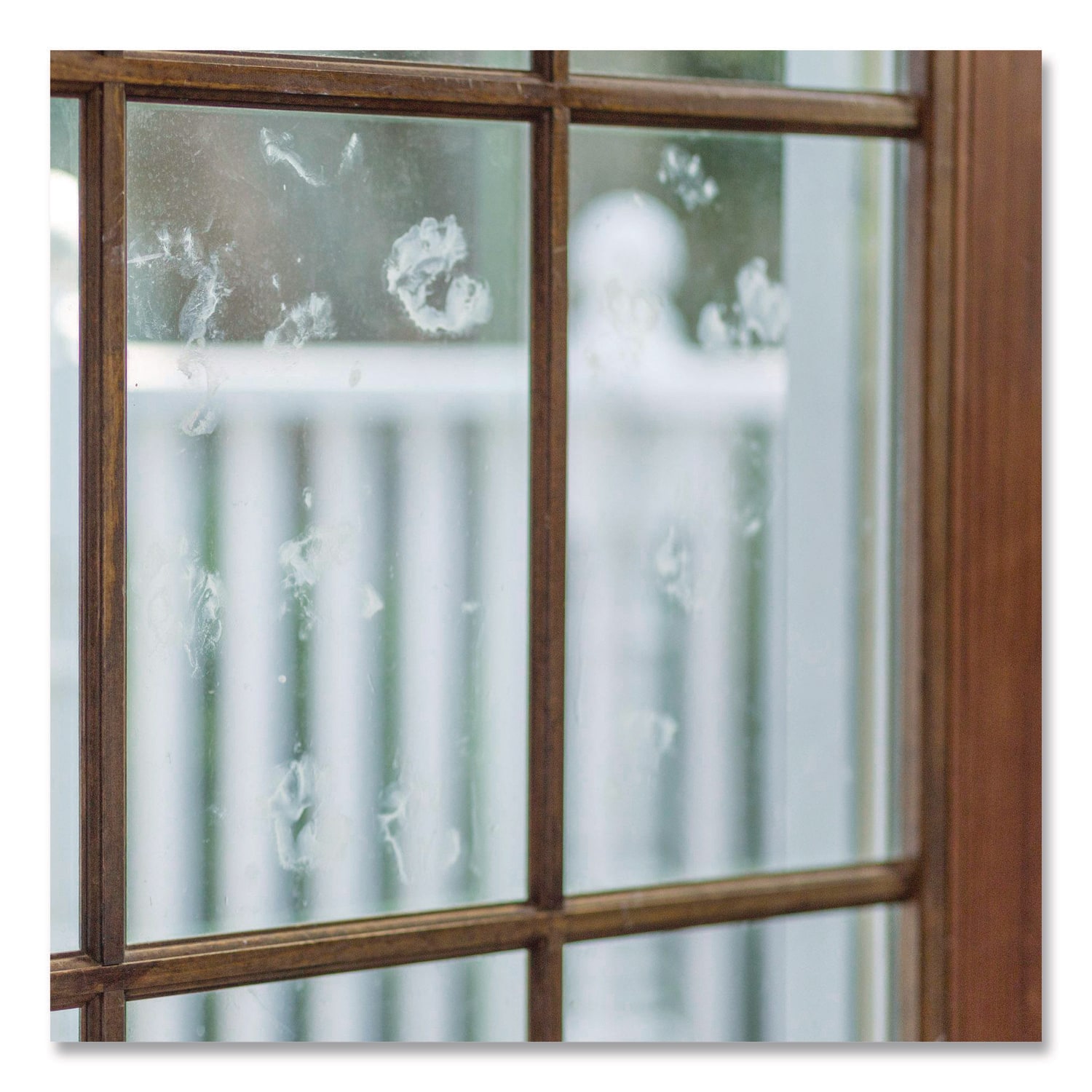 Rust-Oleum ESNRST352243 Glass-Cleaners - View #3