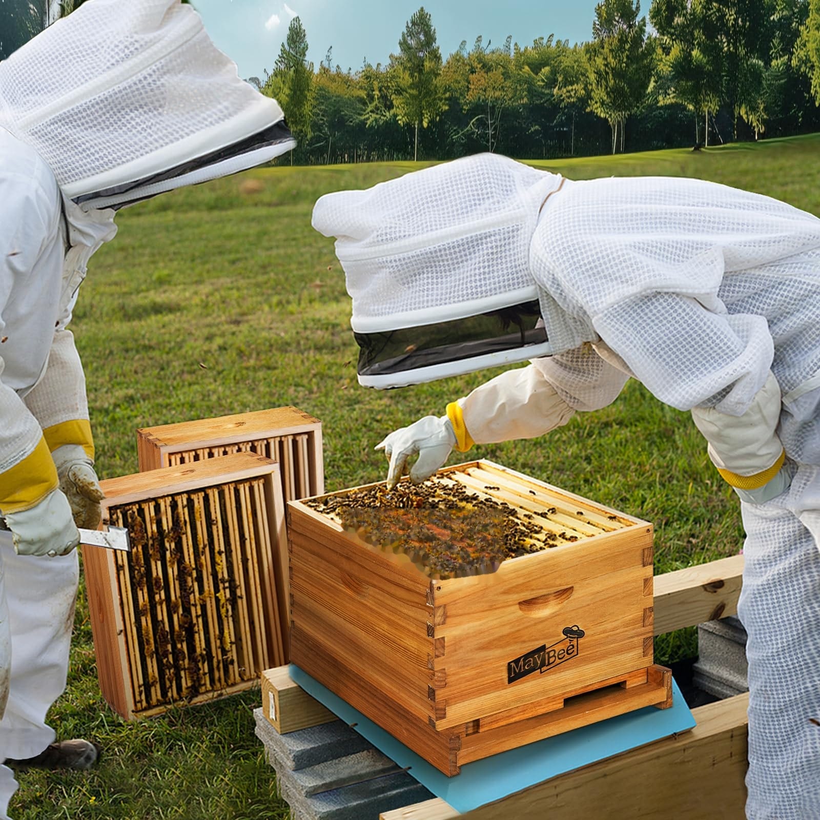 Justincity 10 Frame Beehive Starter Kit with Wax Coated Deep Brood Box ...