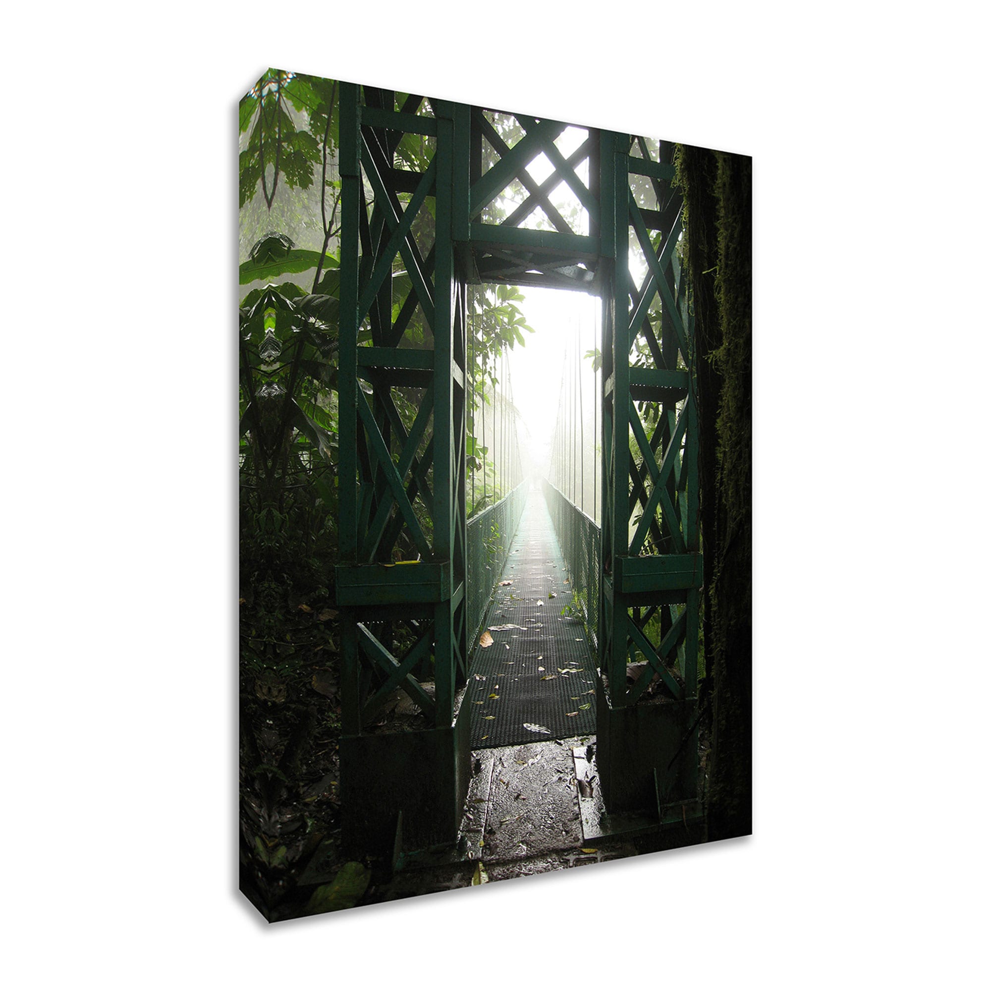 Tangletown Fine Art 14058-3043C Destiny 45-in H x 30-in W Landscape Print on Canvas