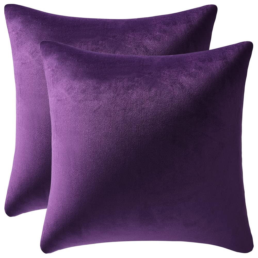 Yichuhaoxi  Velvet Throw Pillow Covers 18 by 18 Pack of 2 Soft Square Decorative Pillow Cases for Sofa Couch Living Room Bed Home Decor Purple