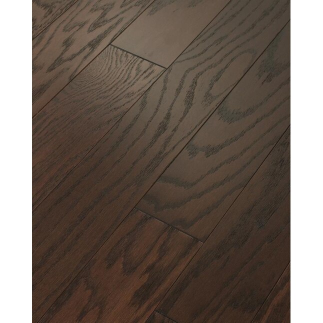 Greeting to continue Cursed Shaw (Sample) Grandstand Espresso Oak Engineered Hardwood Flooring in the  Hardwood Samples department at Lowes.com