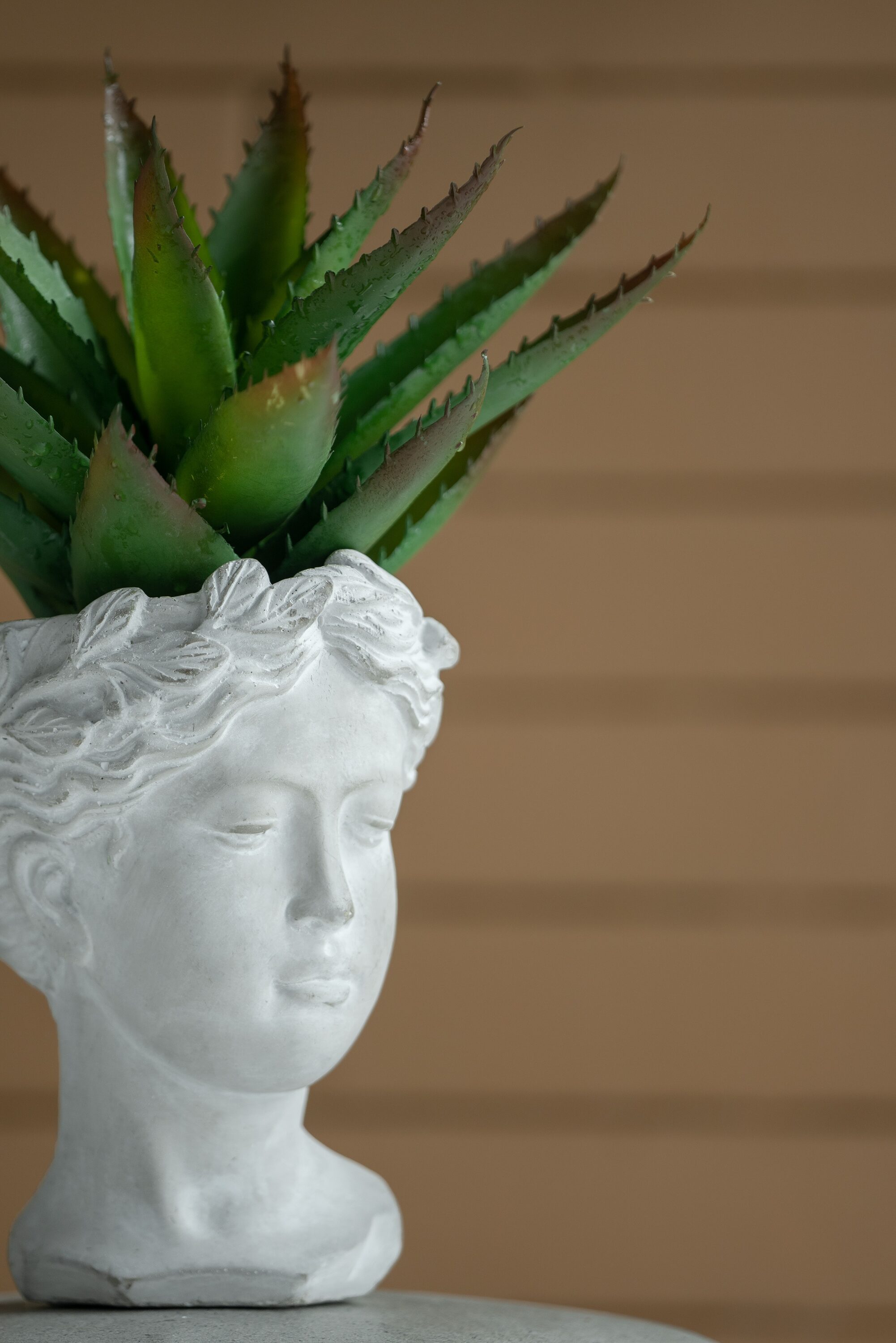 Siavonce XH31621 Planter-Window-Box - View #18