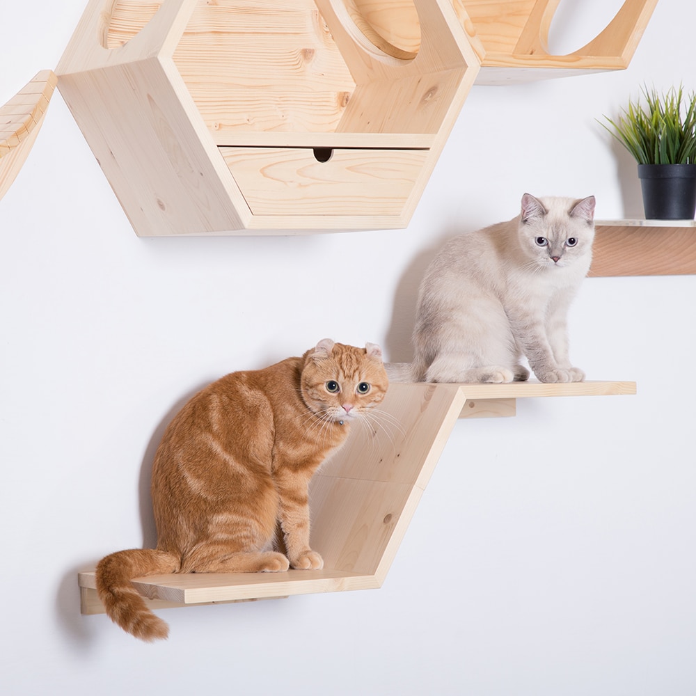 MyZoo MZ-ZONE-L Pet-Steps - View #6