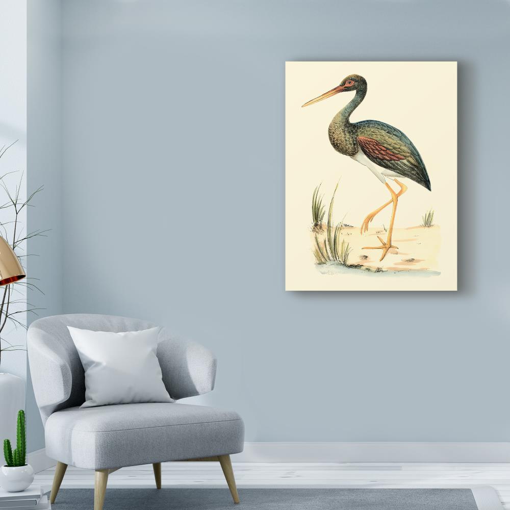 Trademark Fine Art Animals Framed 19-in H x 14-in W Animals Print on ...