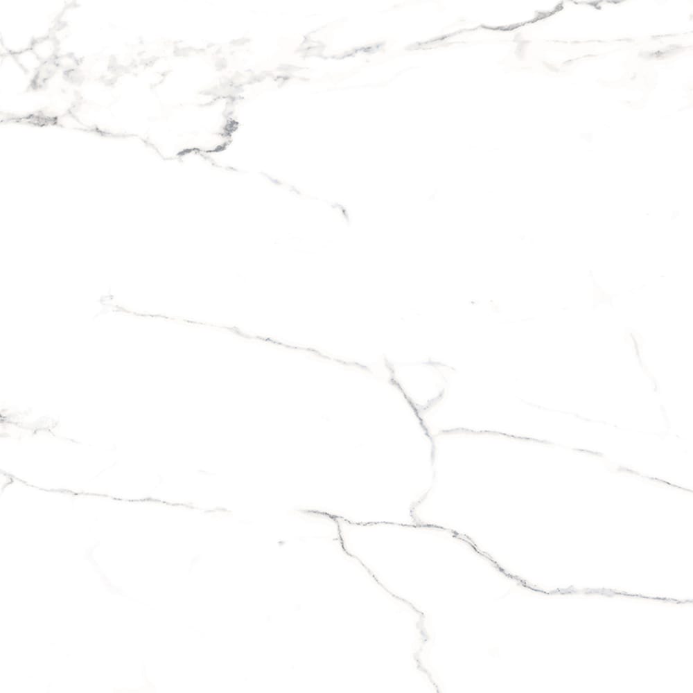 The Tile Life Sample - Windsor Calacatta 4-in x 4-in Polished Porcelain Marble look Floor and Wall Tile #SKING1212CA