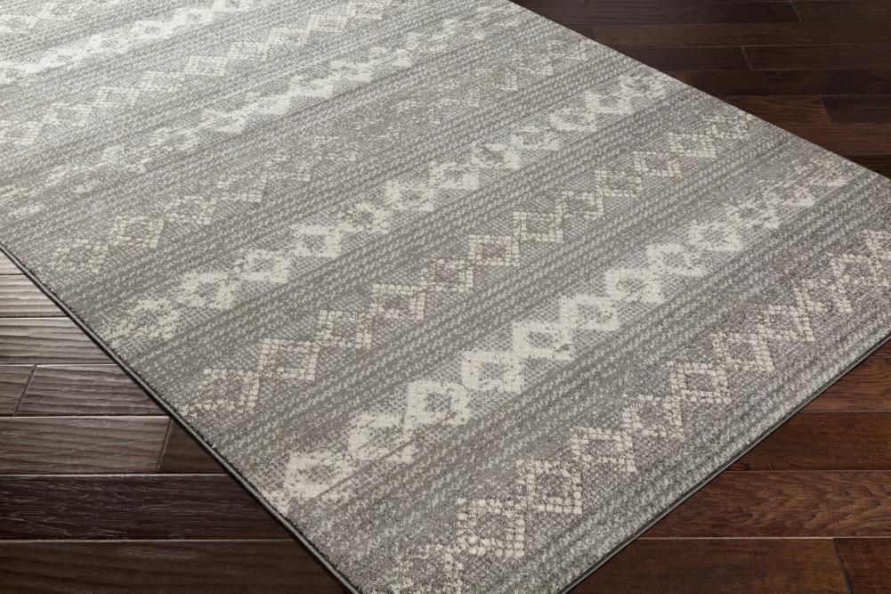 Surya CHE2307-710103 rugs - View #7