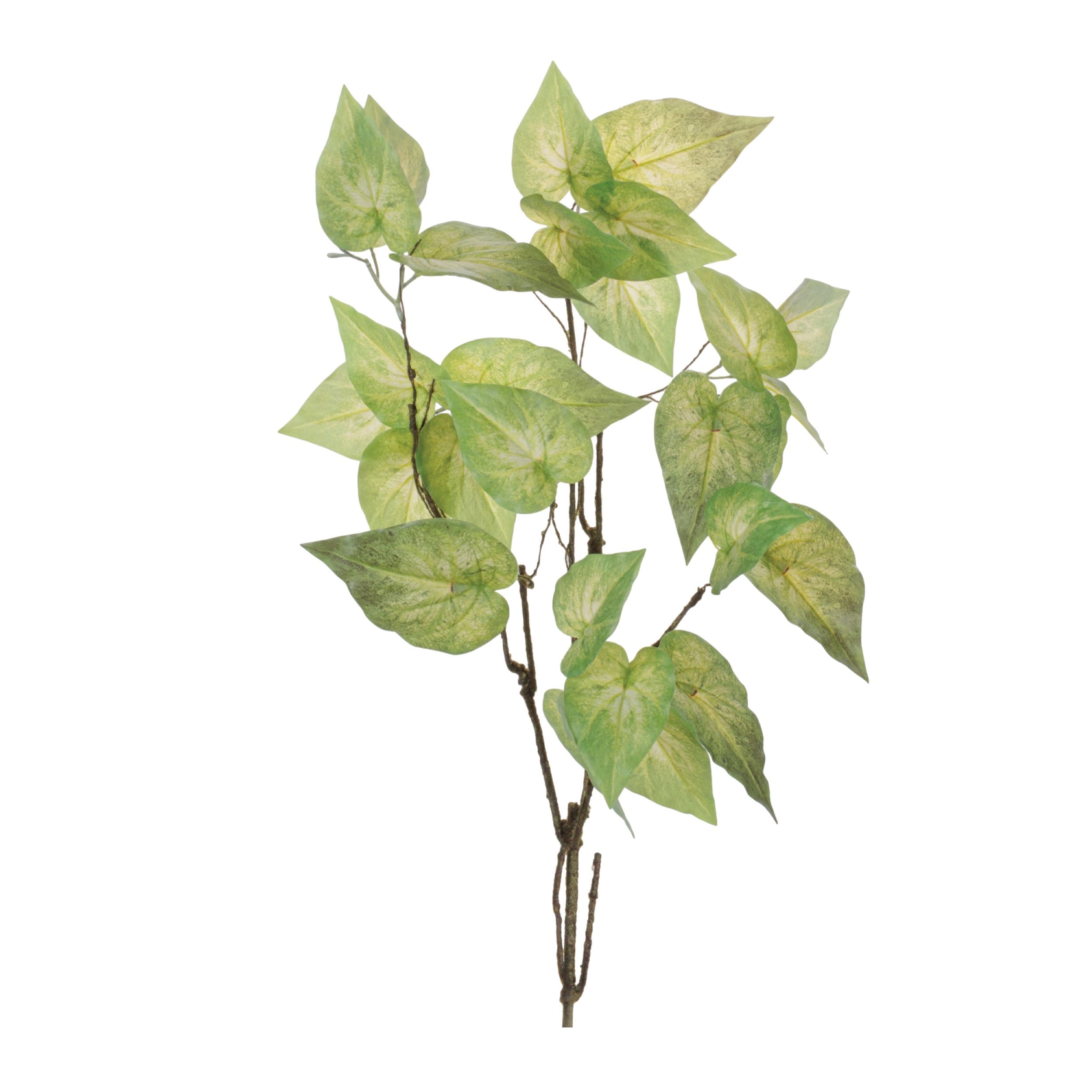 Melrose International Anthurium Leaf Branch (Set of 4)