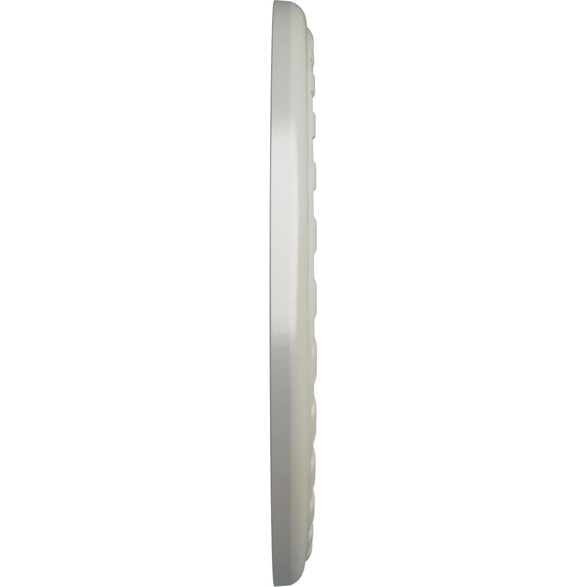 Ekena Millwork CM23PMFBS Ceiling-Medallions - View #3