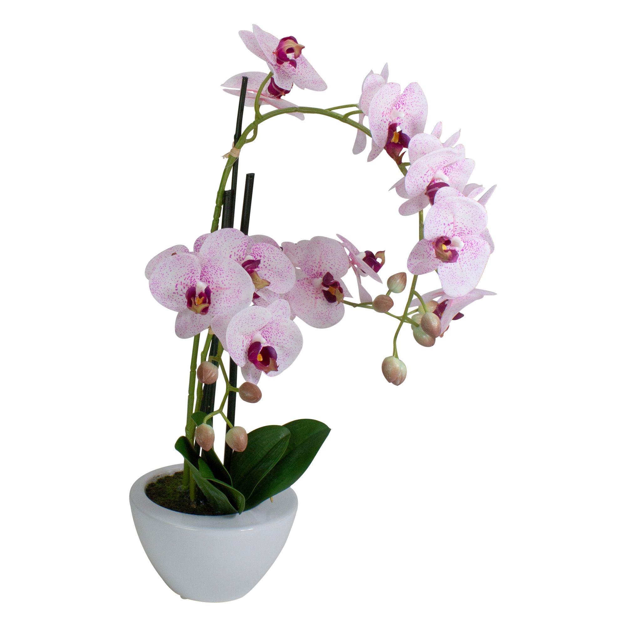 Northlight 34219754 Artificial-Plants-Trees - View #6