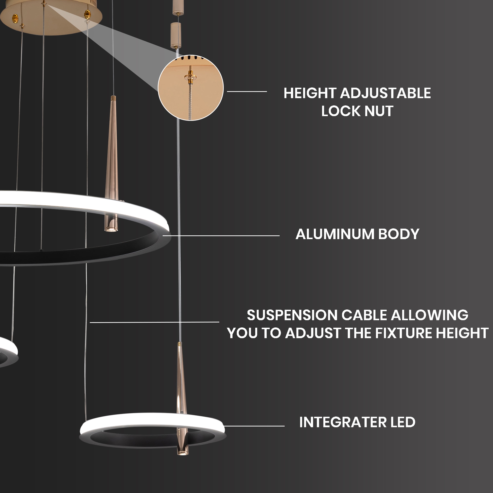 Antoine DCLW026 b090015 - View #6