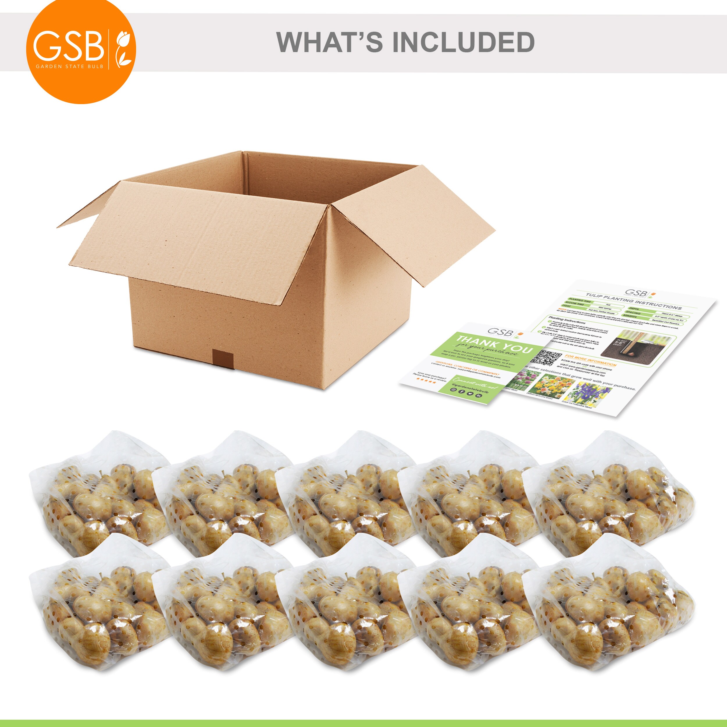Garden State Bulb ECF-54-250-10 Plant-Bulbs - View #7