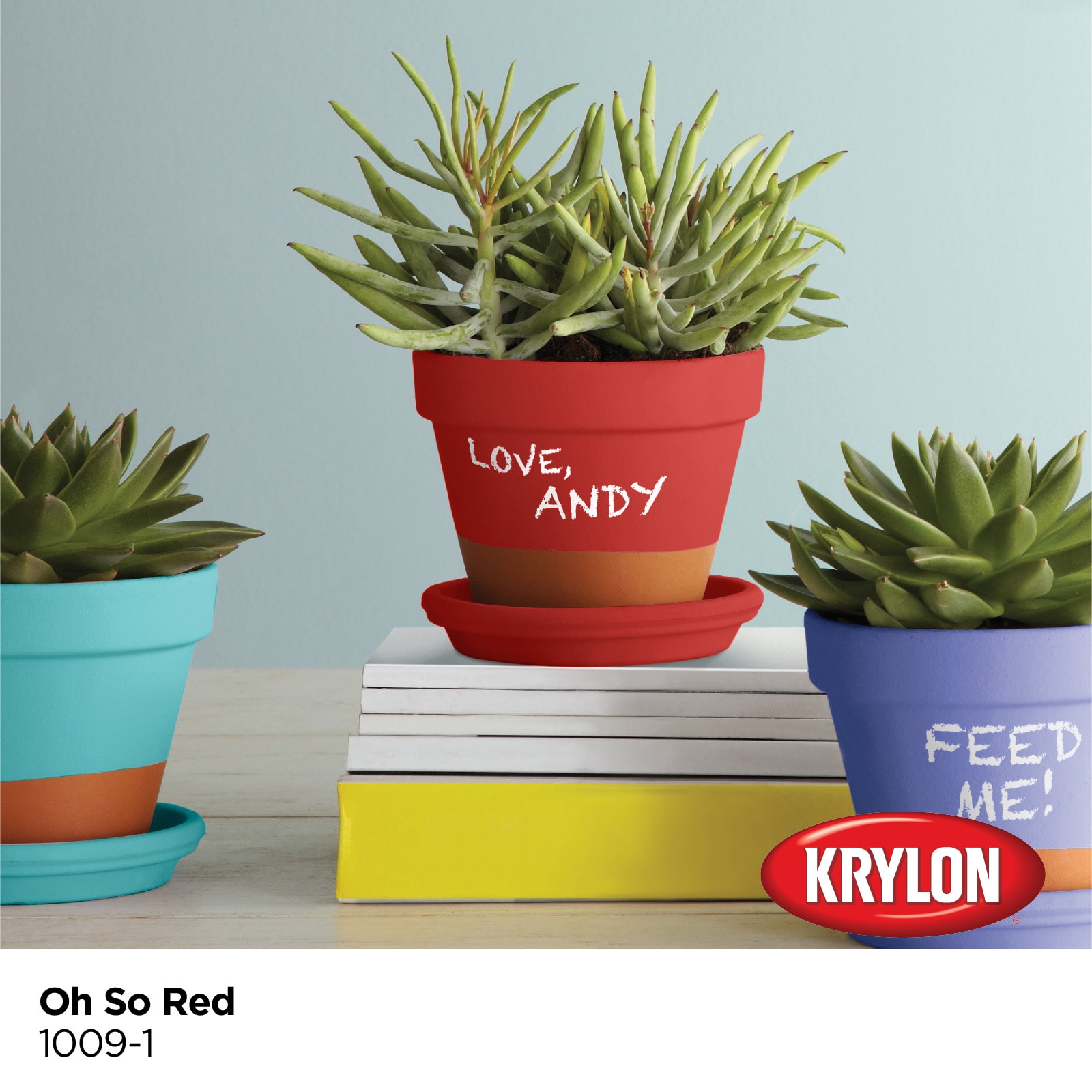 Krylon 1009-1-1693215 Chalky-Paint - View #2