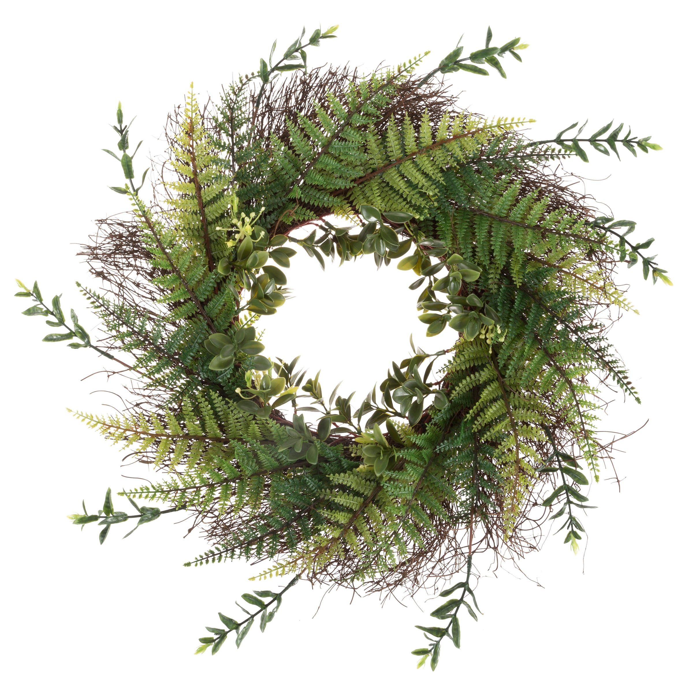 Nature Spring 106218JNL 21” Artificial Fern Wreath with Grapevine Base
