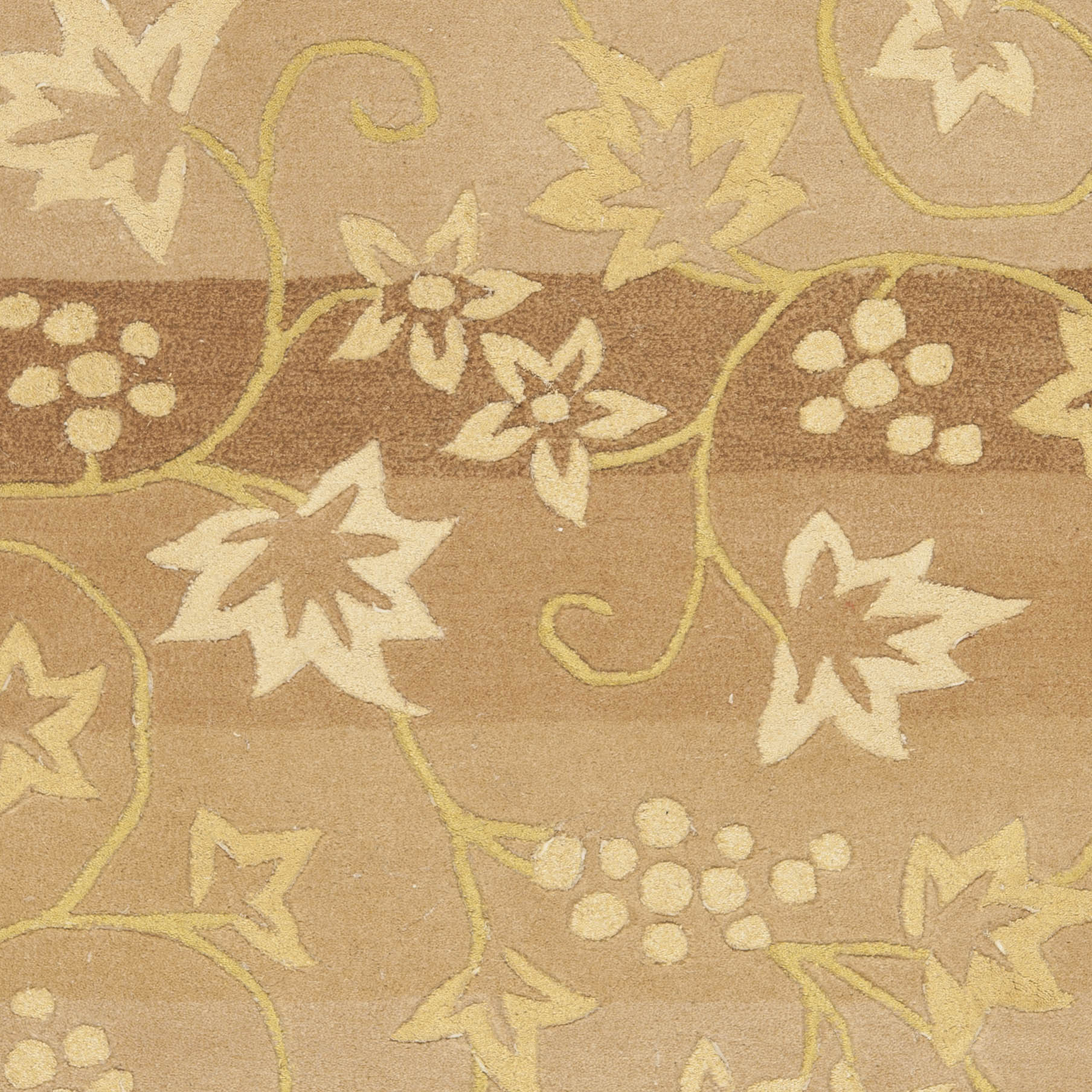 Safavieh FT231A-2 rugs - View #3