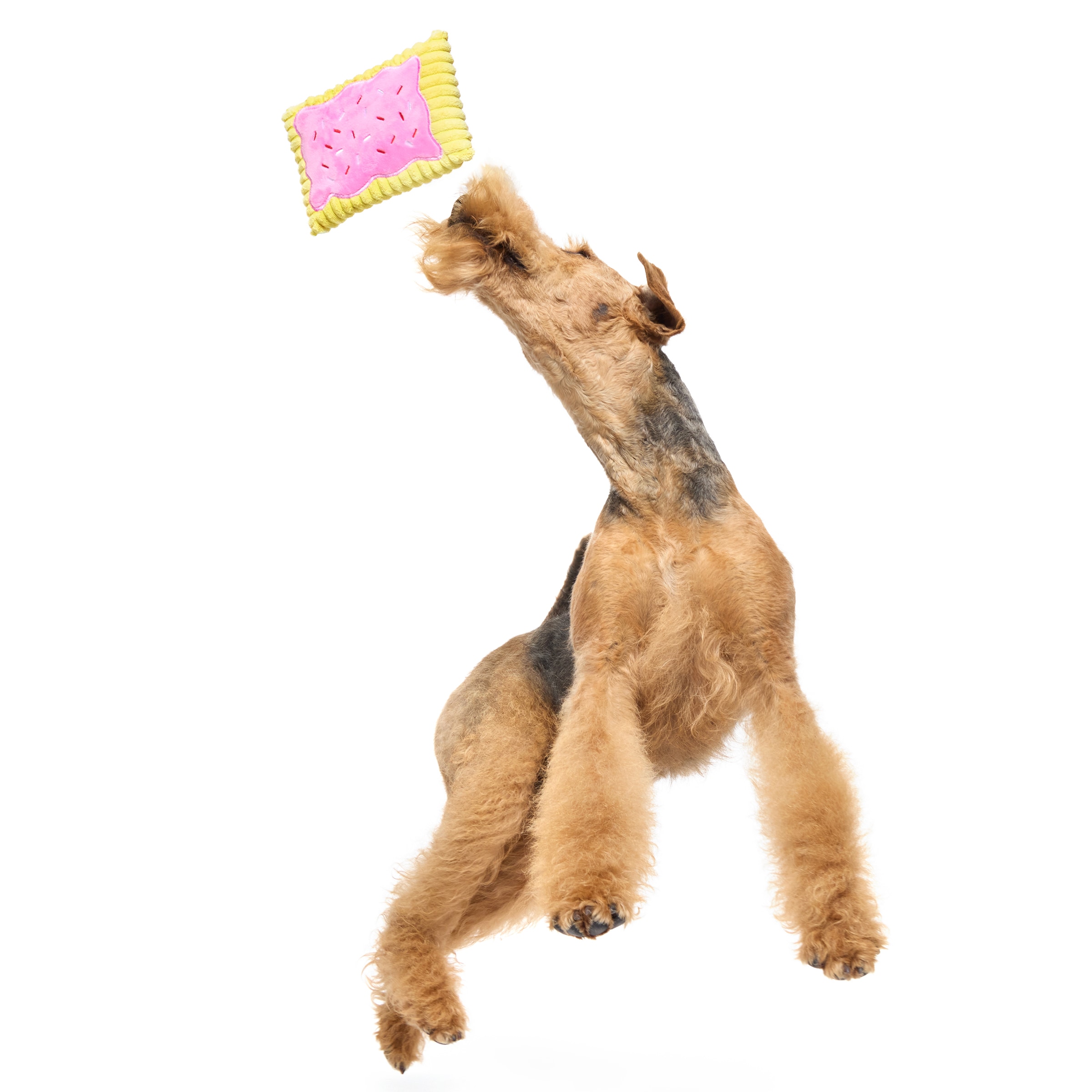 BARK 215922 Dog-Toys - View #3