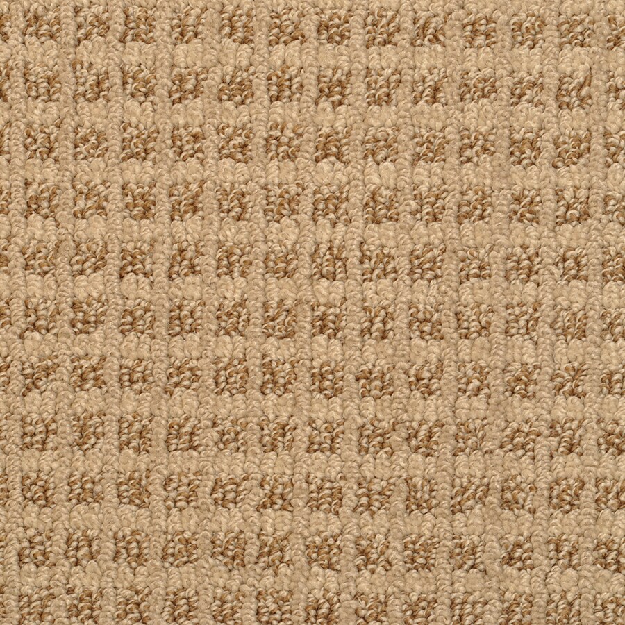 STAINMASTER 4602-115 Medford Sandlewood Pattern Indoor Carpet