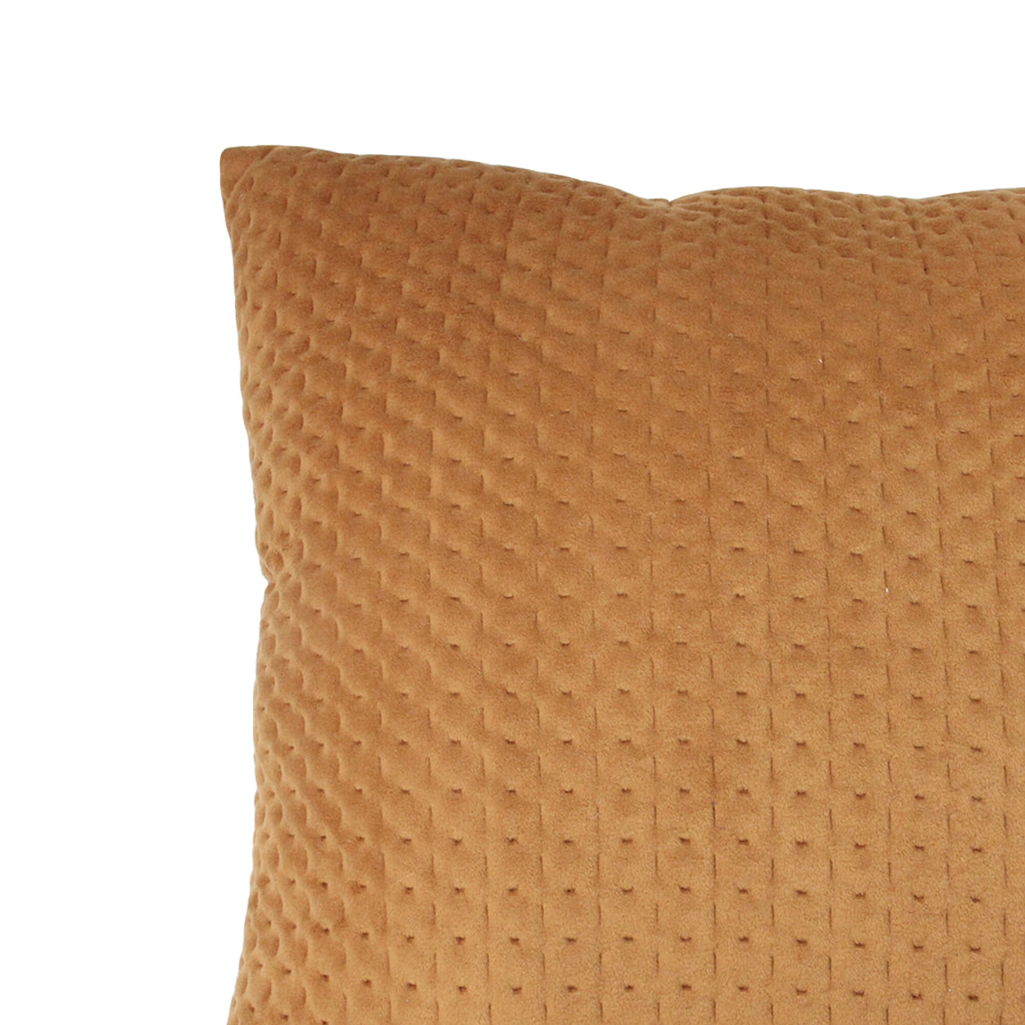 Northlight 32913599 Accent-Pillows - View #5
