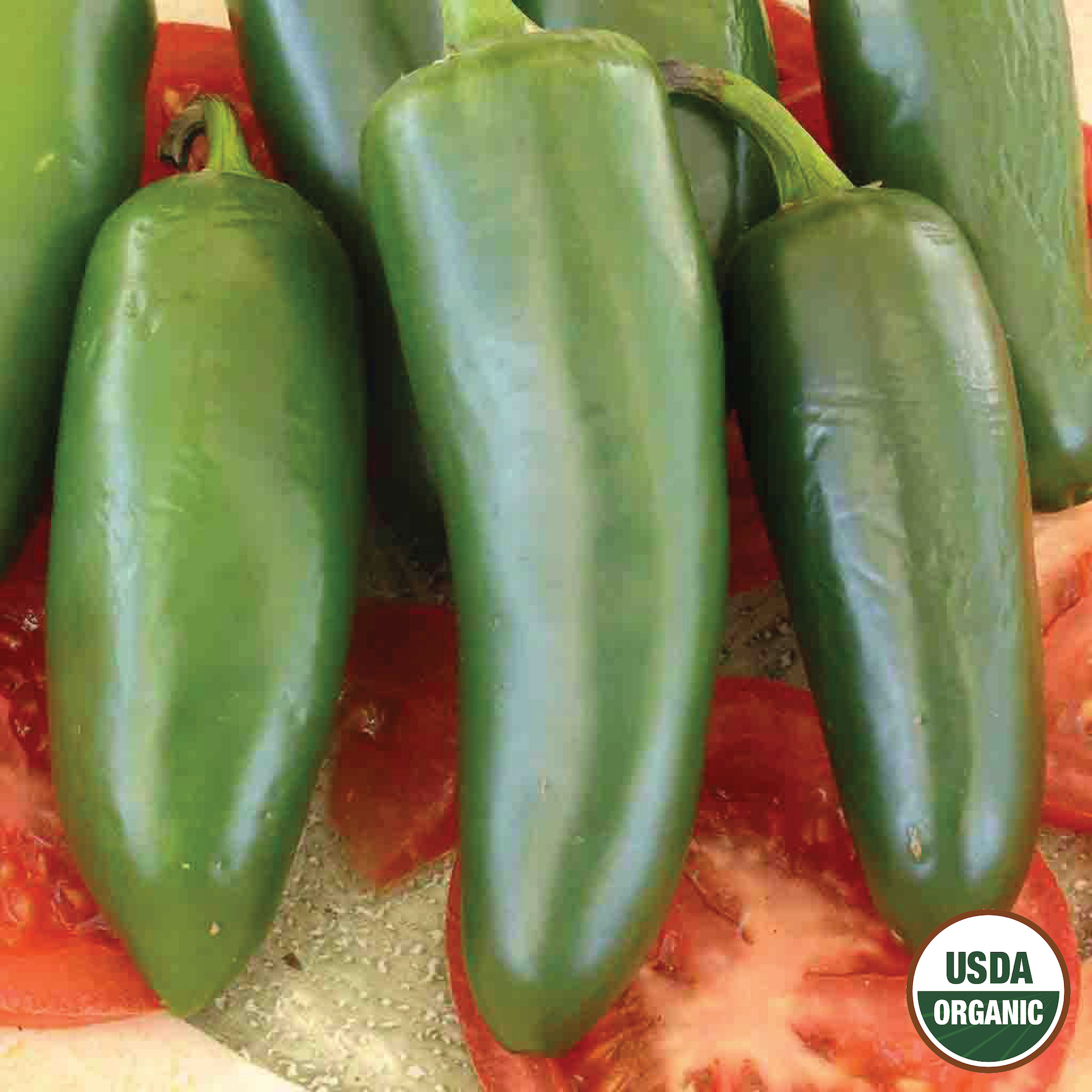 Ferry-Morse LC25.9716 Vegetable-Herb-Seeds - View #3
