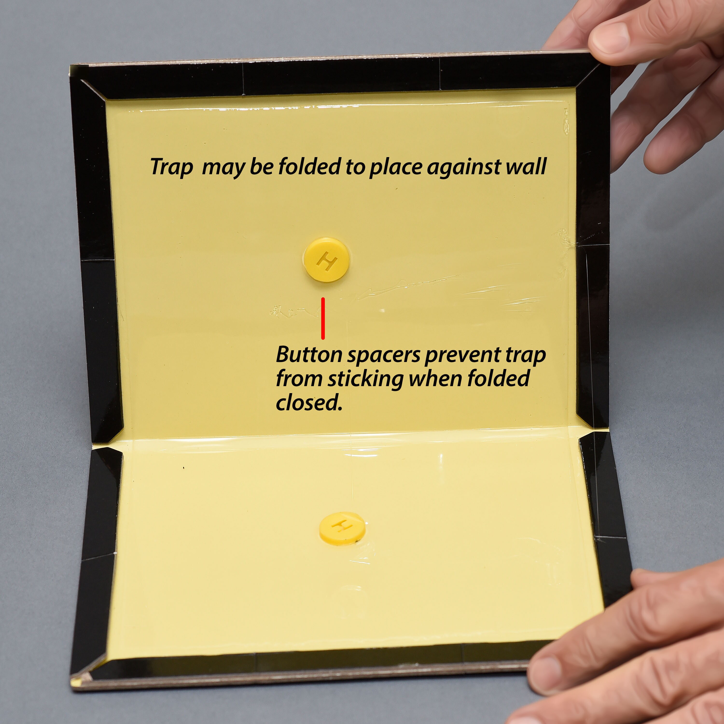 D-CON® Mouse Glue Traps Box, 4 ct - Harris Teeter