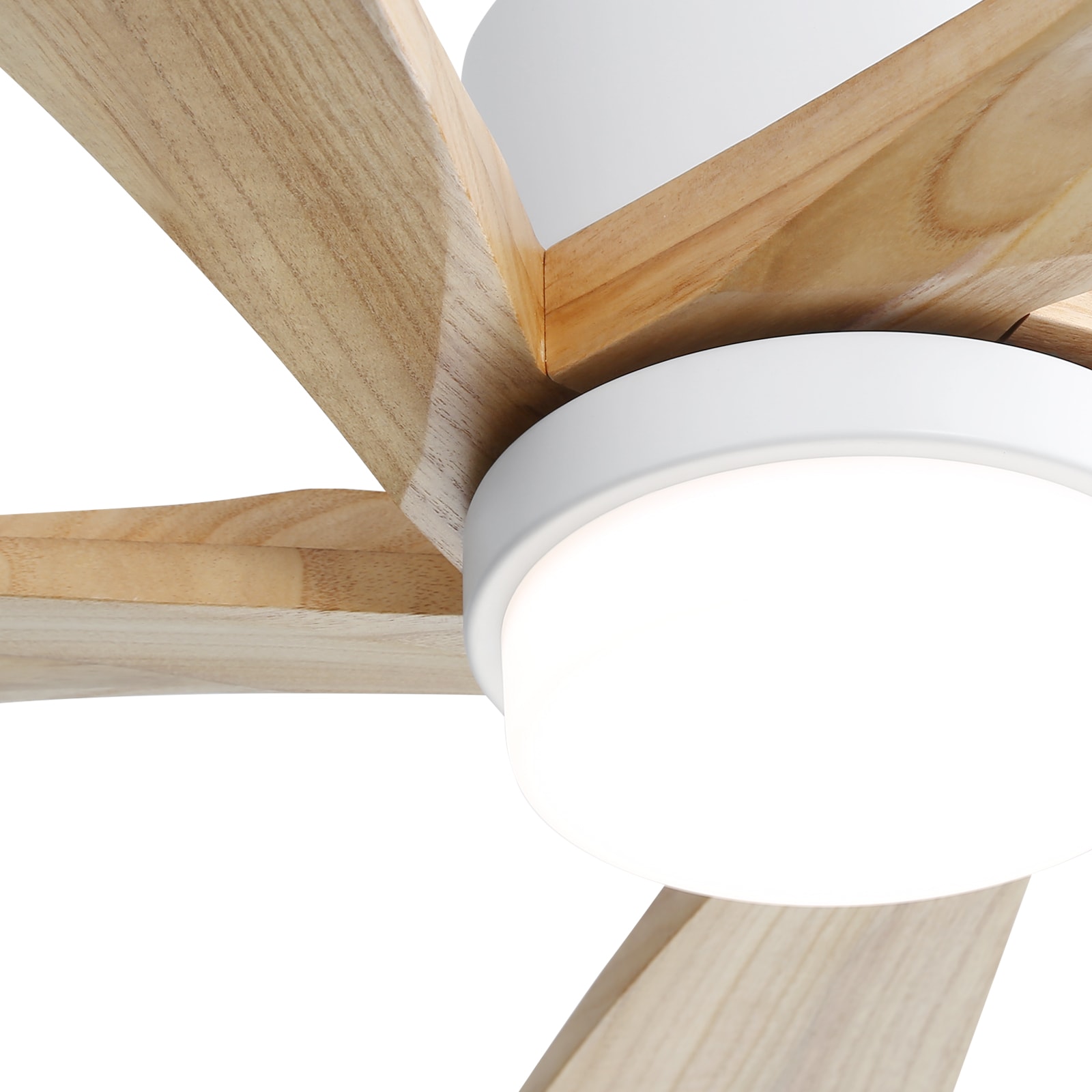 Sofucor C4-M-003121 Ceiling-Fans - View #4