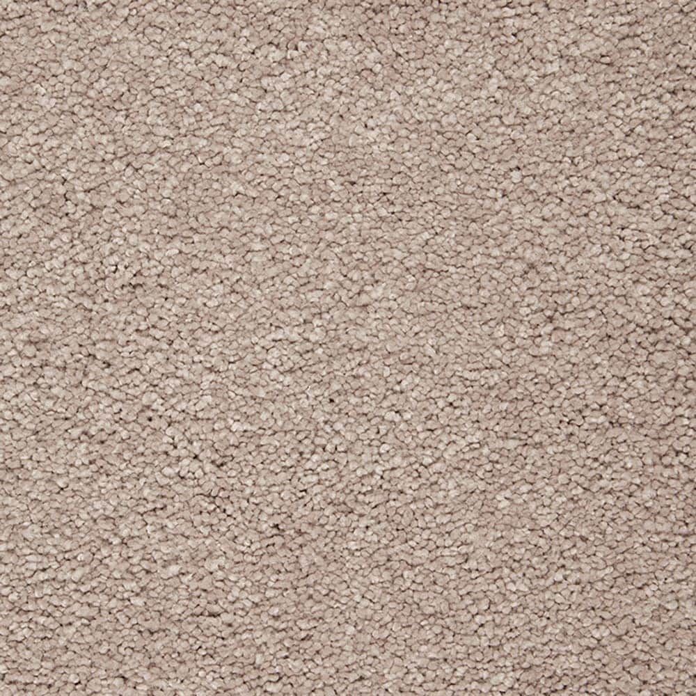 STAINMASTER PetProtect STP56-L009-0808 (Sample) Pawfection Clam Island Brown 70-oz sq yard Triexta Textured Indoor Carpet