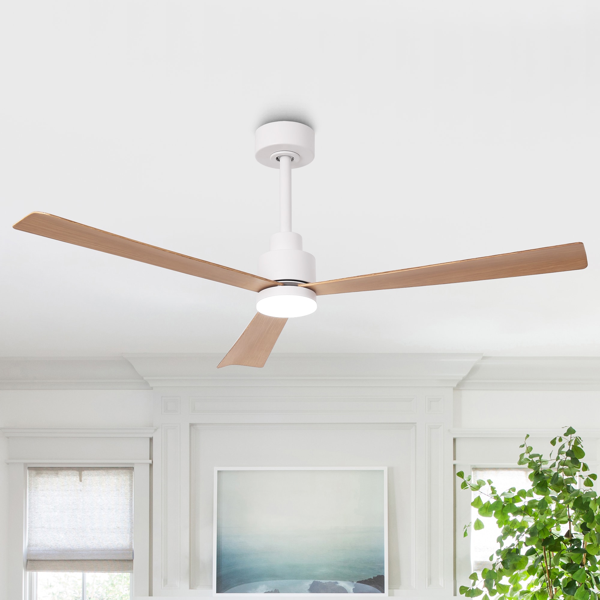 Parrot Uncle F6014WH Ceiling-Fans - View #16