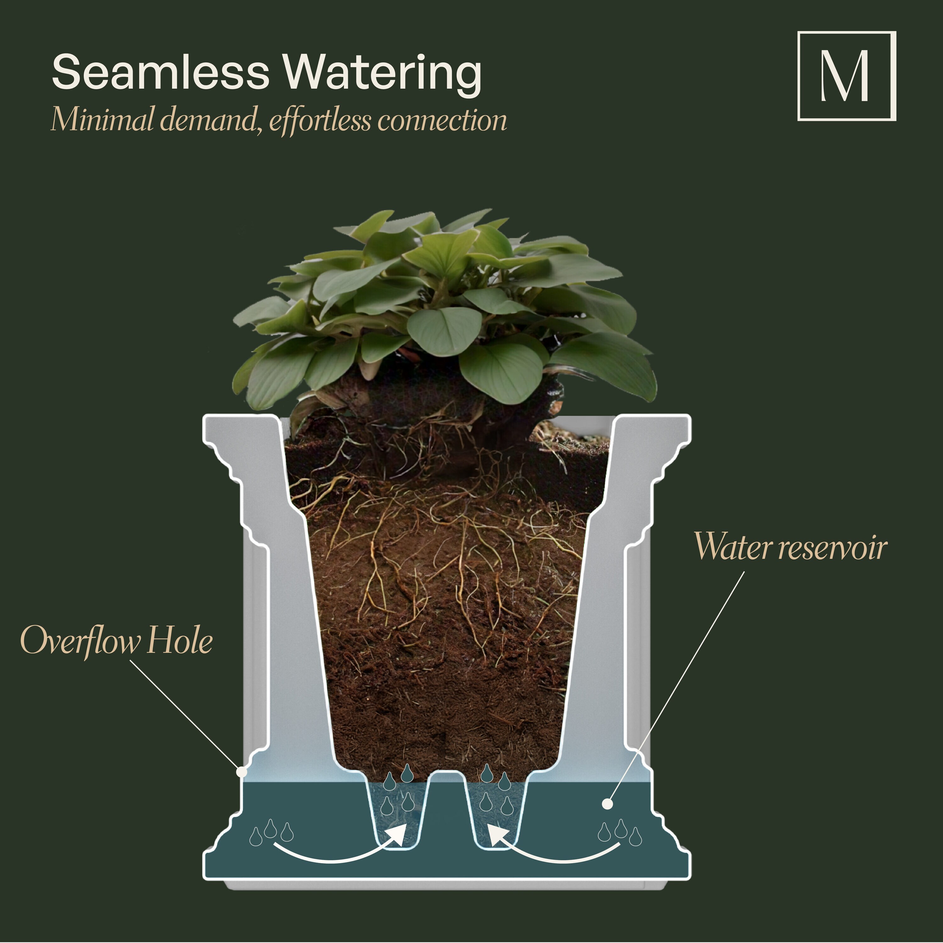 Mayne 4838-W Planter-Window-Box - View #6
