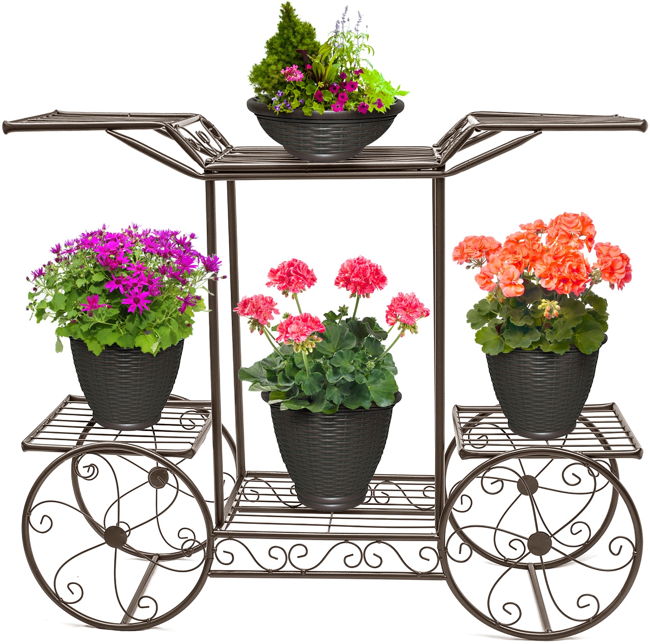 SORBUS FLR-ST1-BRN Brown Orchid trellis