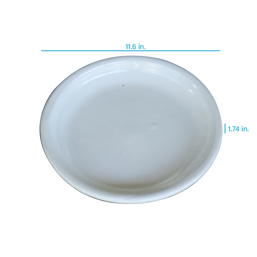 Plant the Plant roth at Saucer + allen department 11.6-in Ceramic in Saucers White