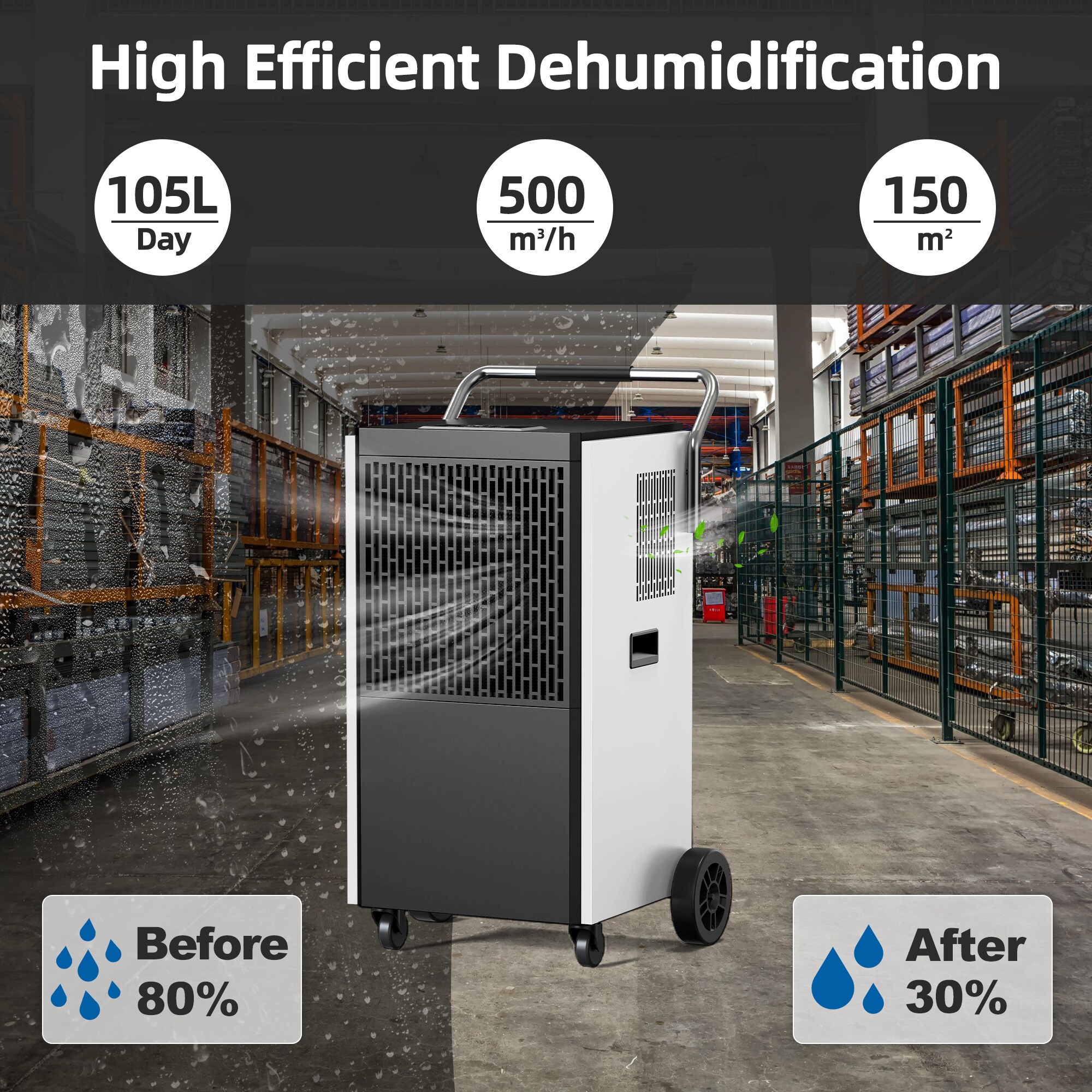 EdenDirect DHDE140937 t000099 - View #2