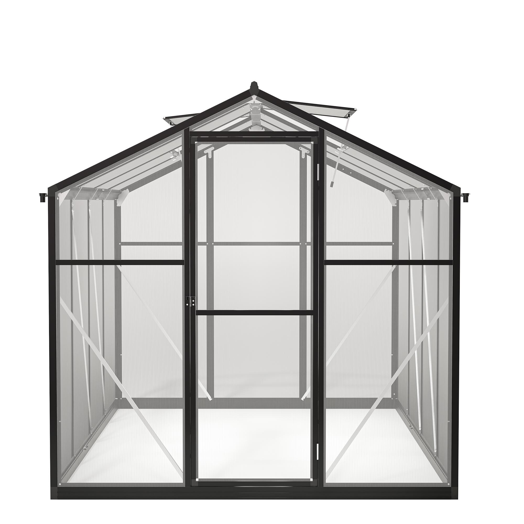 Bayfeve BF-250501-GH greenhouses - View #13