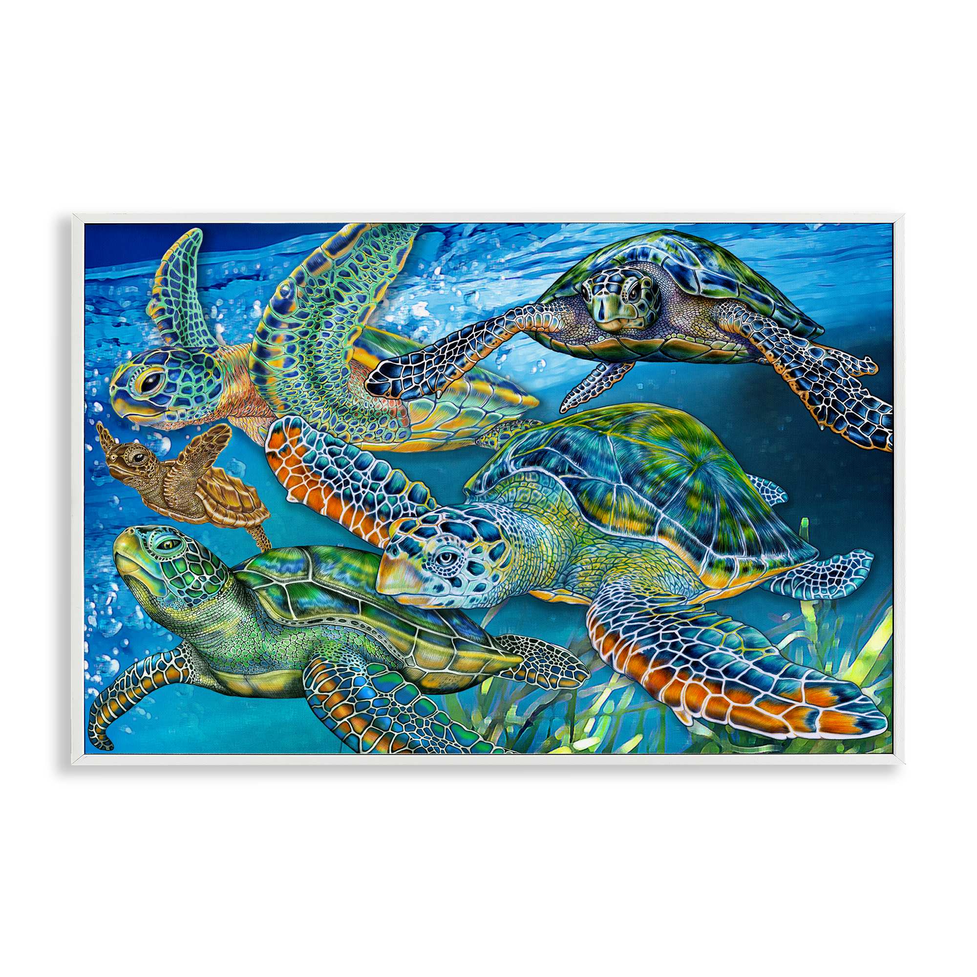 Stupell Industries BT-363-WFR-12X18 Tortoise Family Underwater Swim White Framed Giclee Art By Tim Jeffs 18 x 12