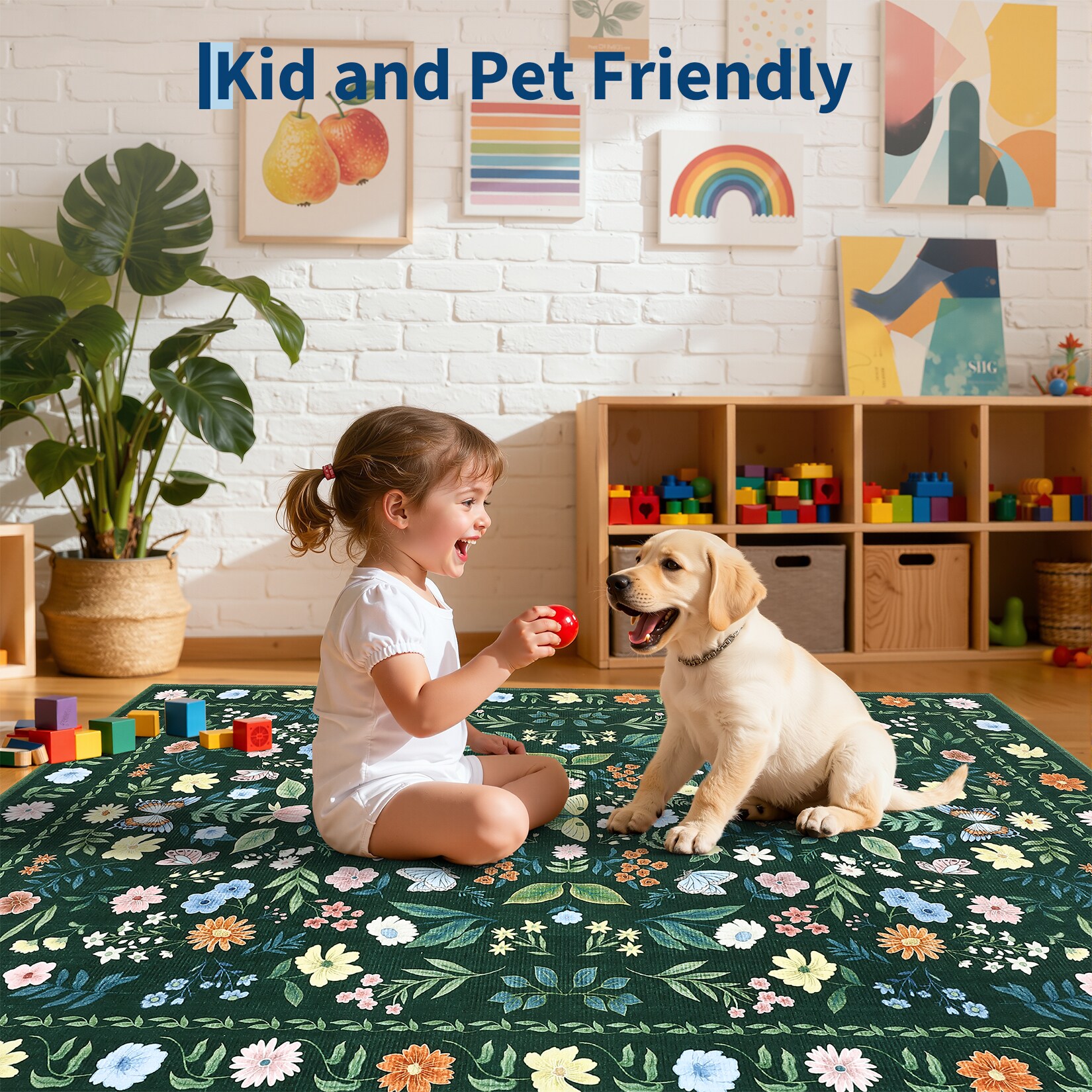Assile QL2-T-X35MVK21CLI rugs - View #6