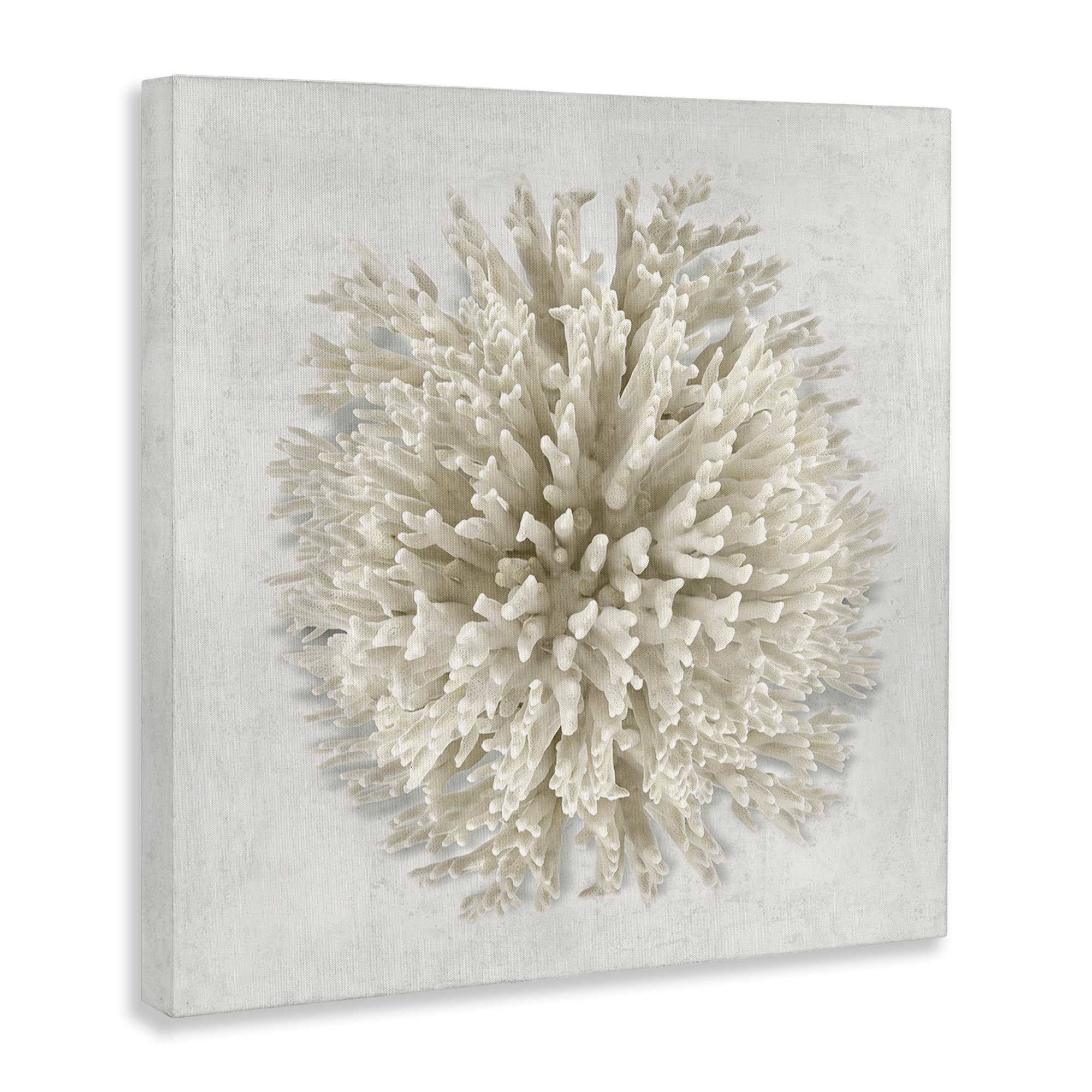 Stupell Industries BS-545-CN-24X24 Wall-Art - View #2