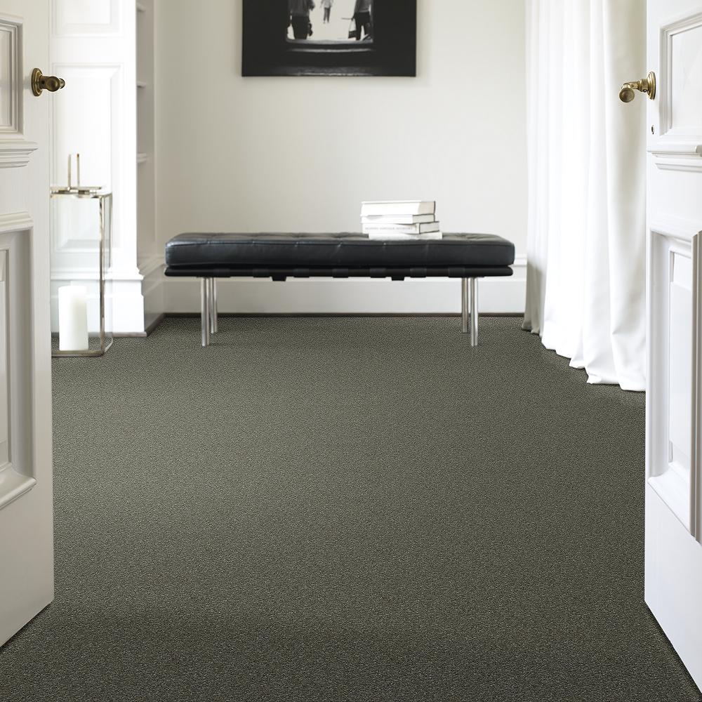 STAINMASTER 7L60500502 Carpet-Panel - View #2