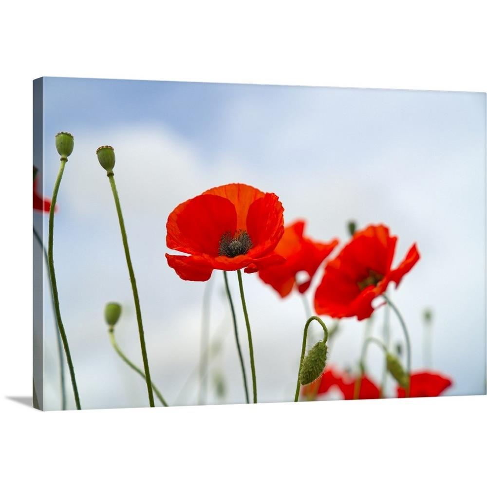 GreatBigCanvas 2532391-24-30X20 20-in H x 30-in W Abstract Print on Canvas