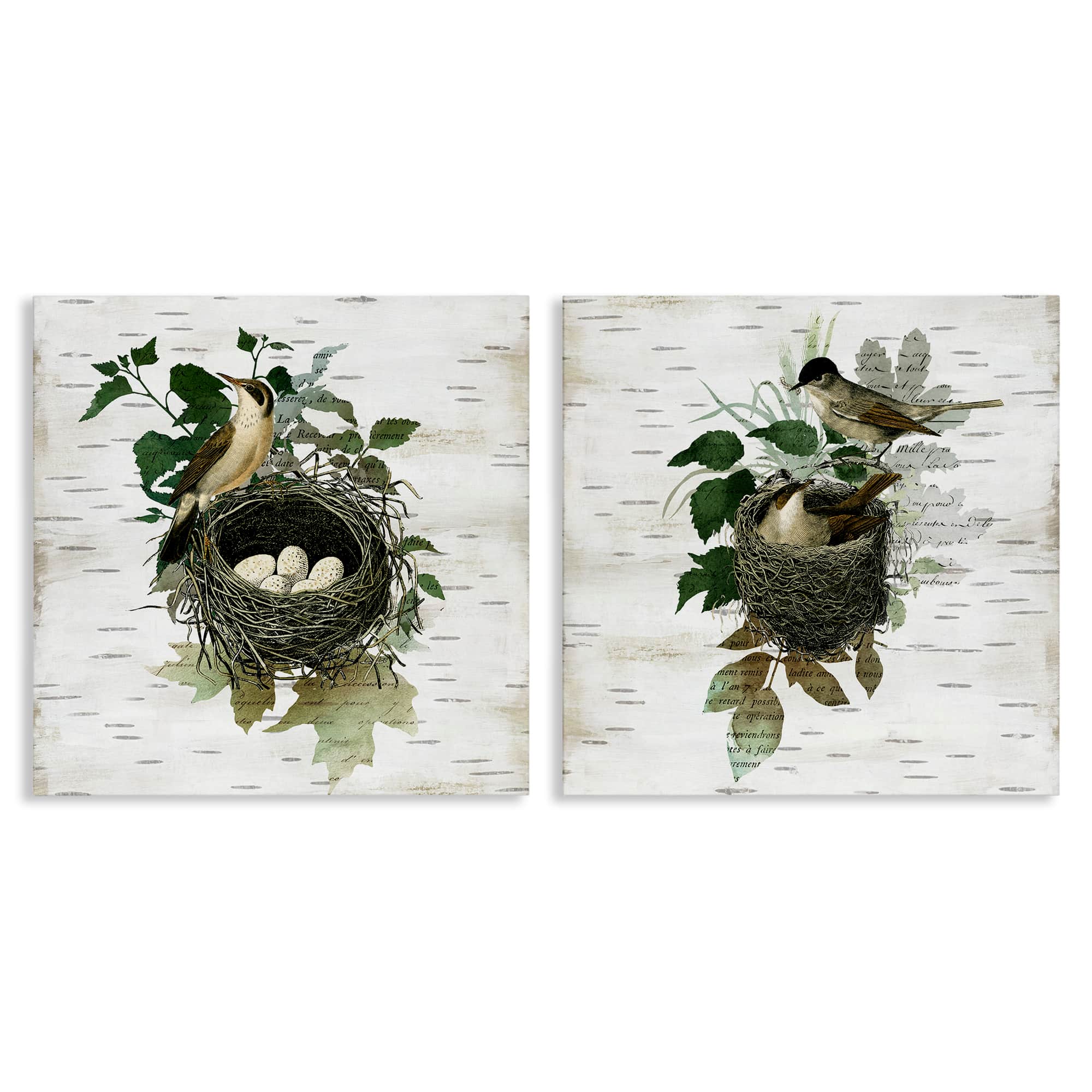 Stupell Industries B2-749-CN-2PC-17X17 Rustic Vintage Bird Nests 2 Piece Canvas Wall Art Set By Susan Arnot 17 x 17