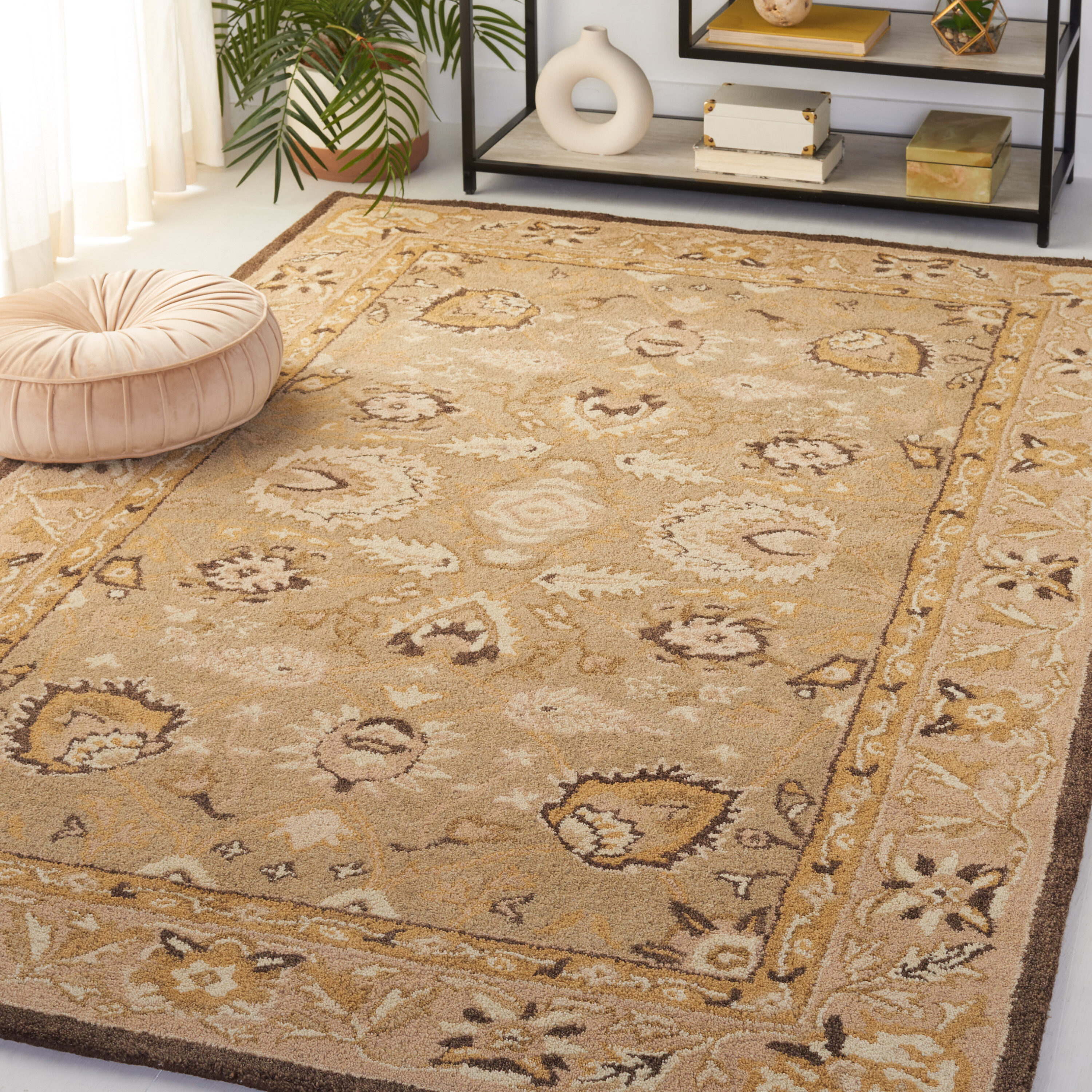  An512 Sage/Beige Traditional 5ft x 8ft Medium Rectangle Rug