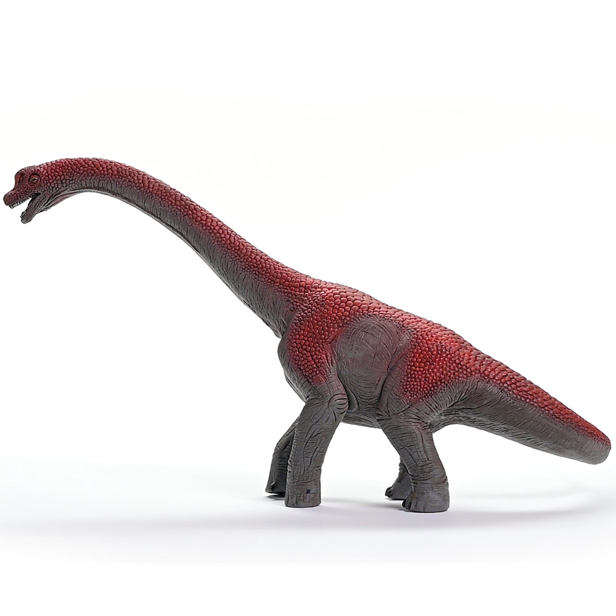 schleich G4059433732053 Play-Toys - View #2