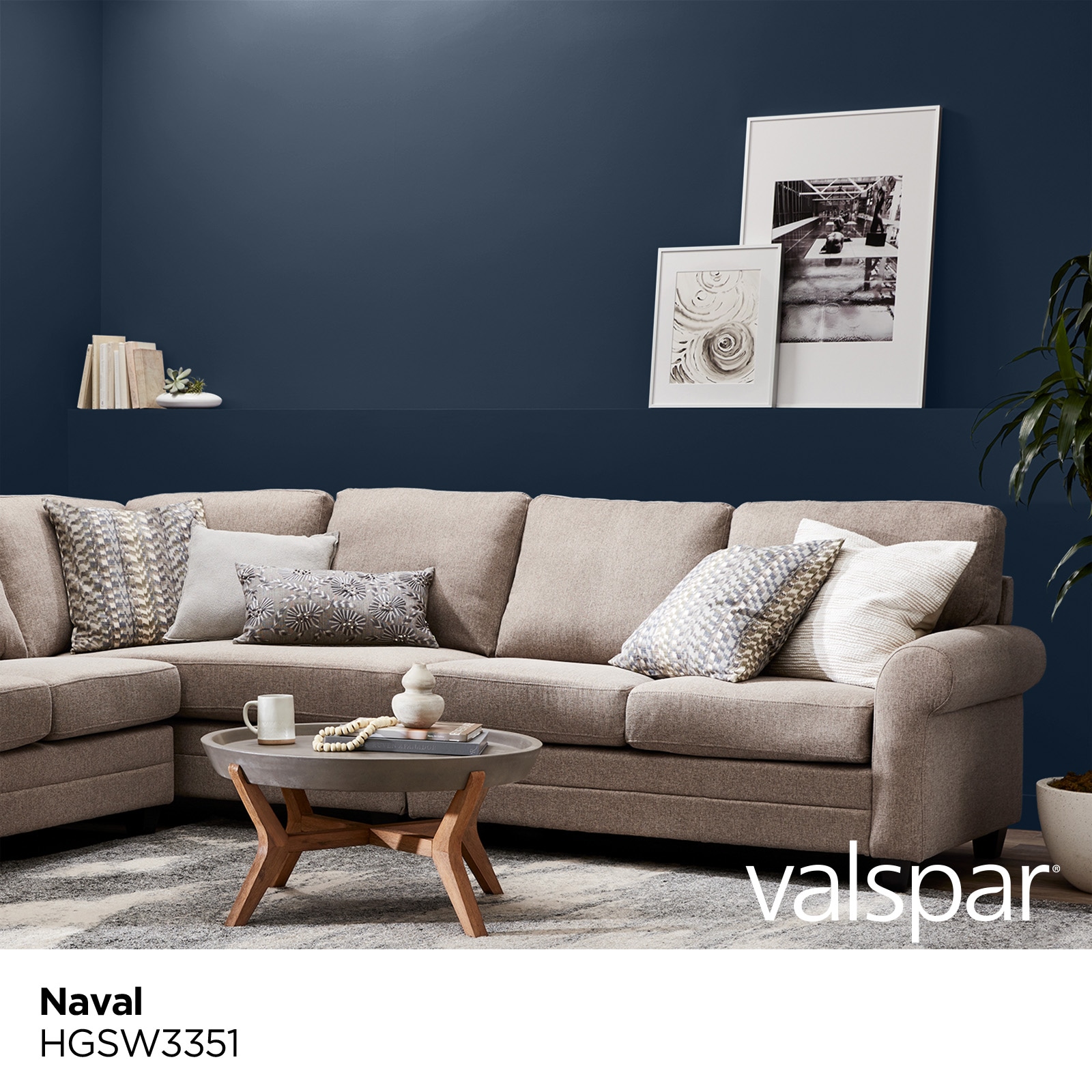 HGTV HOME by Sherwin-Williams HGSW3351 Paint-Samples - View #3