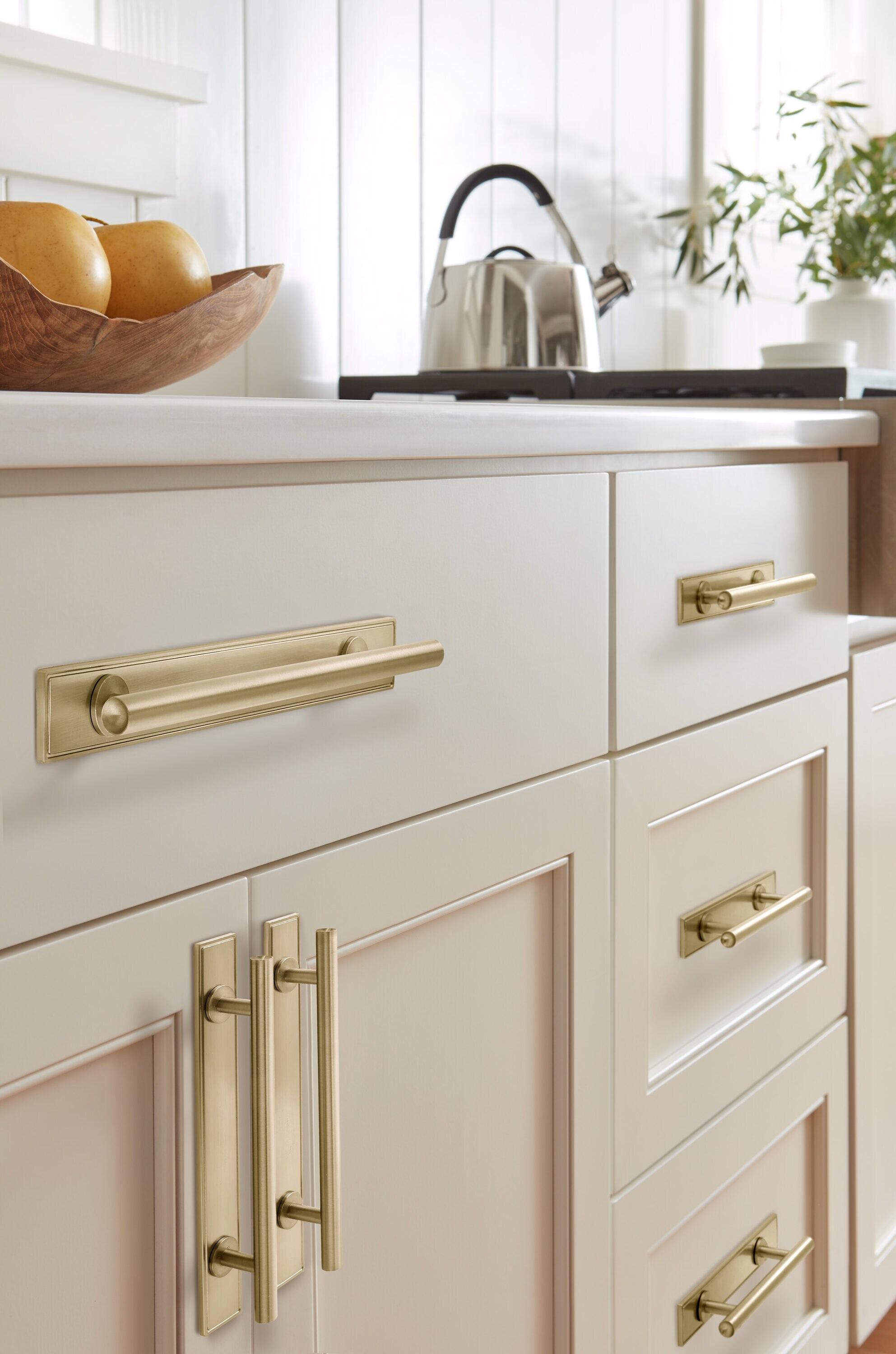 Amerock BP37604BBZ backplates - View #2