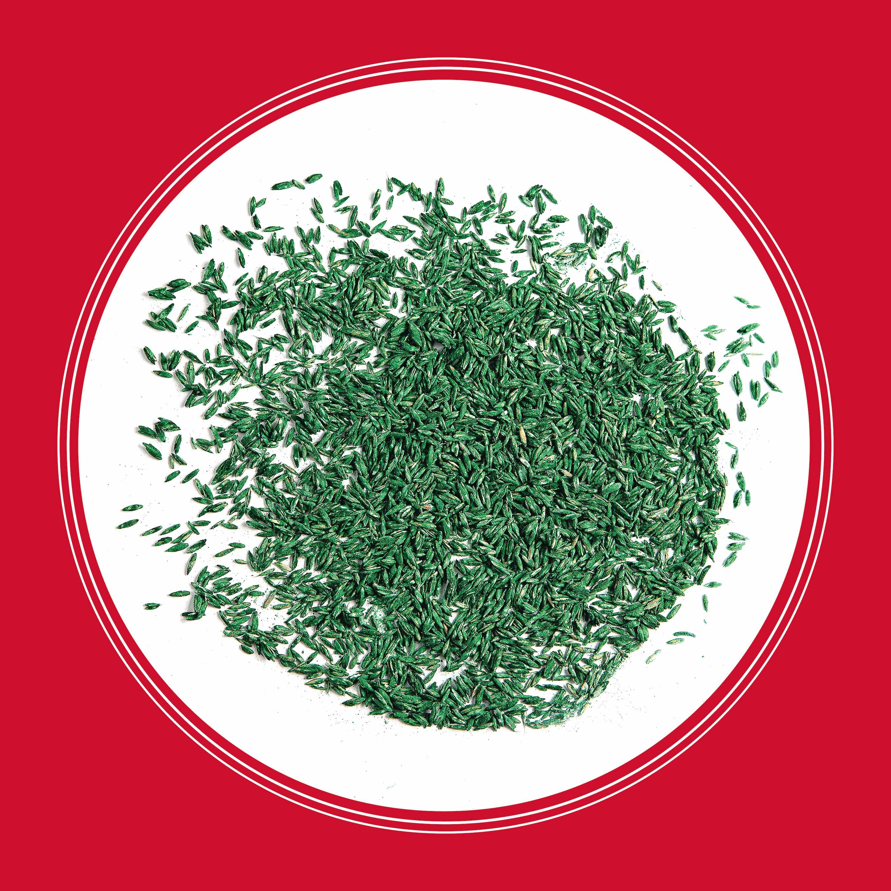 Pennington 2149602290 Grass-Seed - View #3