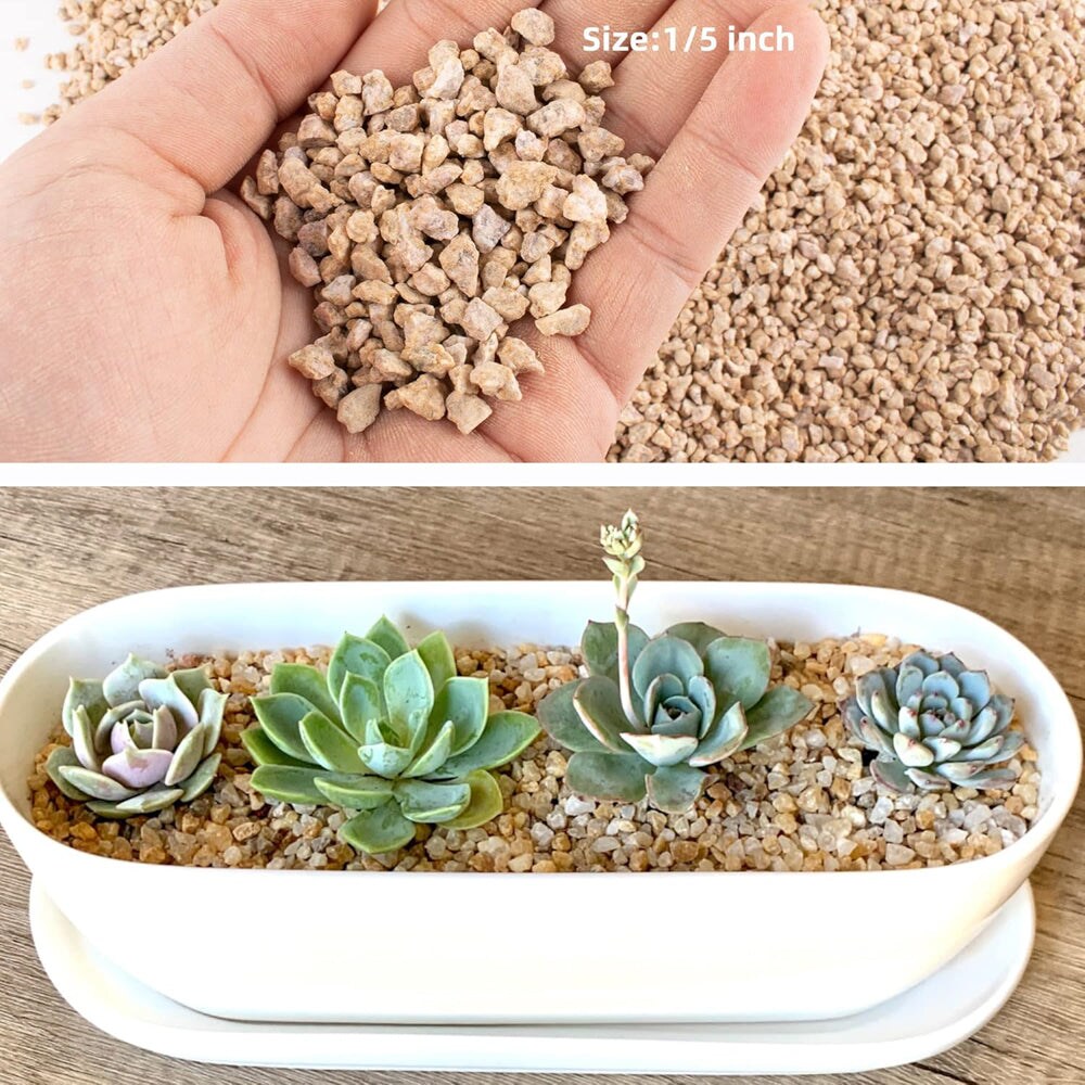 EFCUT 7 lb Maifan Stones Decorative Pebbles for Succulents Cactus Bonsai  Gravel for Potted Plants Terrarium Top Dressing in the Landscaping Rock  department at Lowes.com