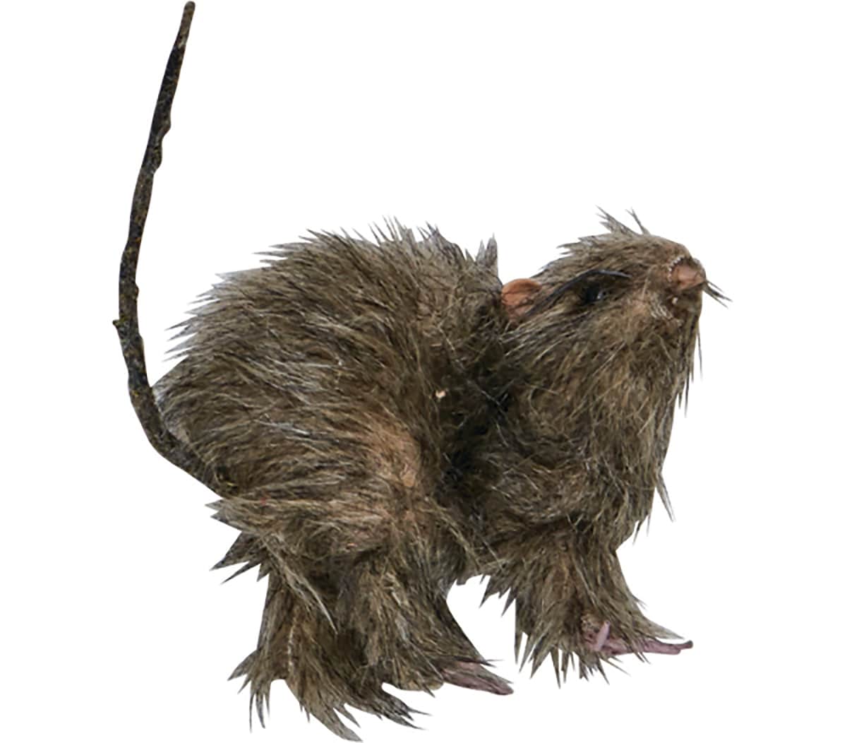 Worth Imports 5-in Rat Tabletop Decoration (2-Pack) in the ...