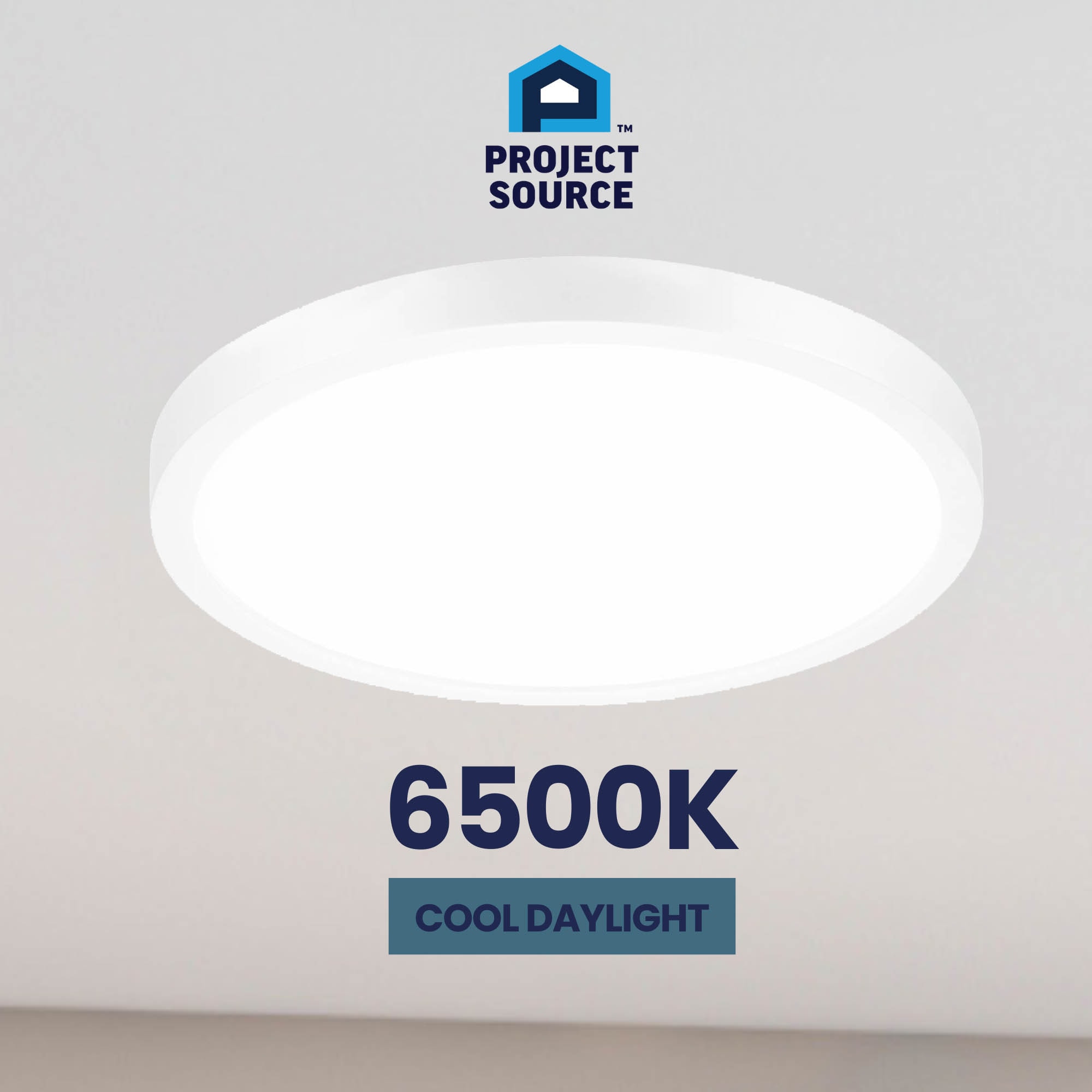 Project Source 43542 flushmounts - View #12